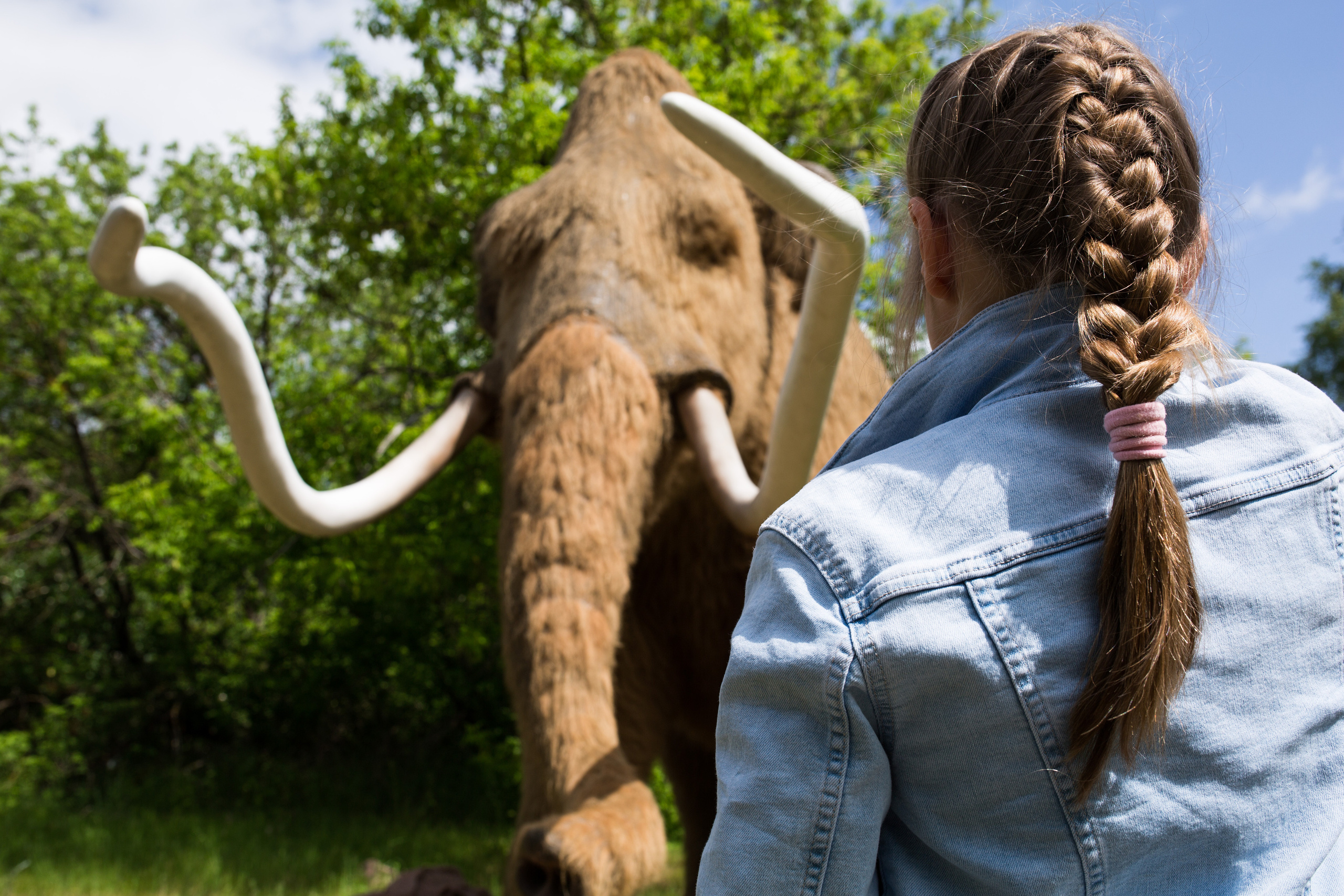 Парк Сказка. Wedding photographer Kiryanov Maxim. I take photos in Moscow, Kolomna,