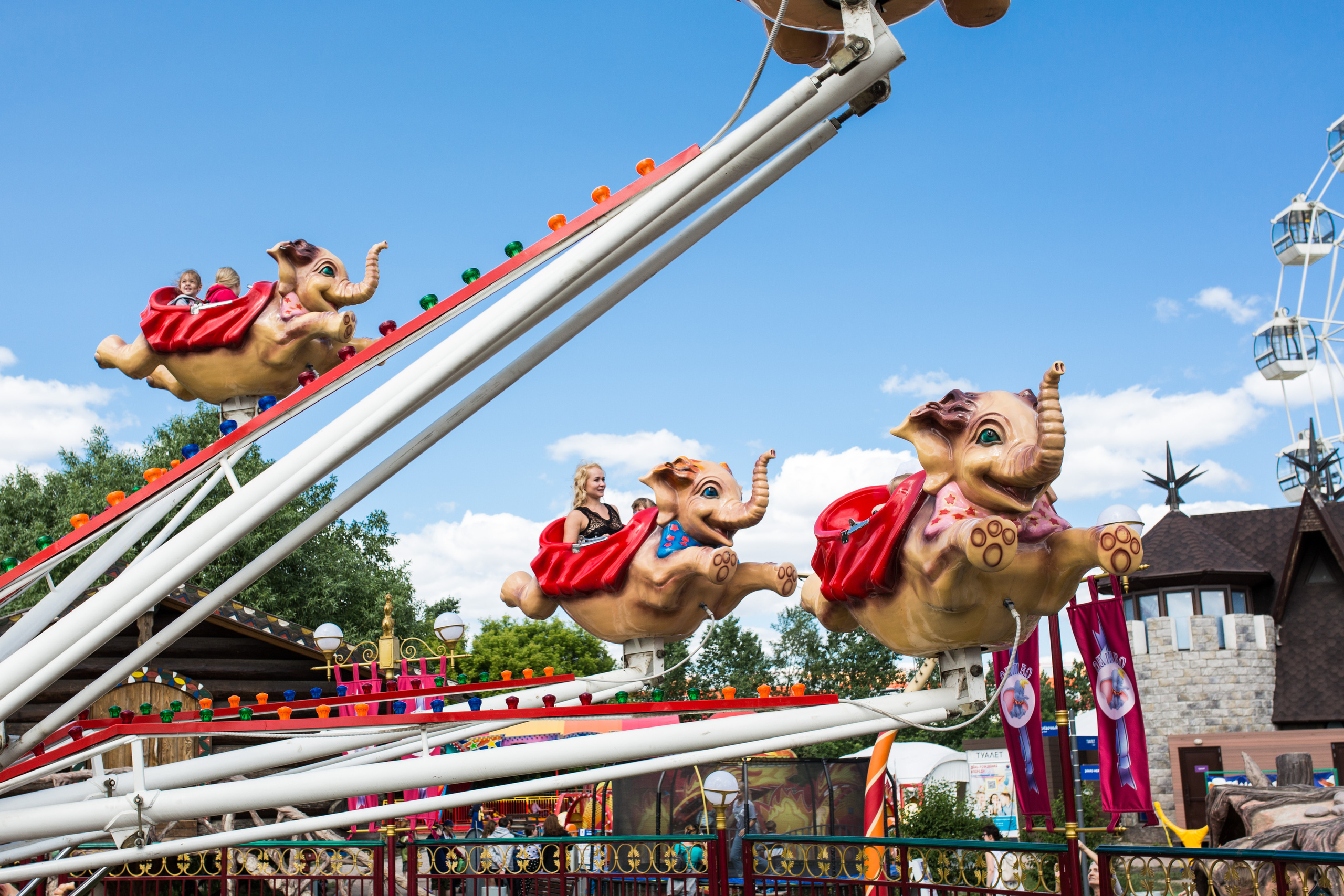 Парк Сказка. Wedding photographer Kiryanov Maxim. I take photos in Moscow, Kolomna,