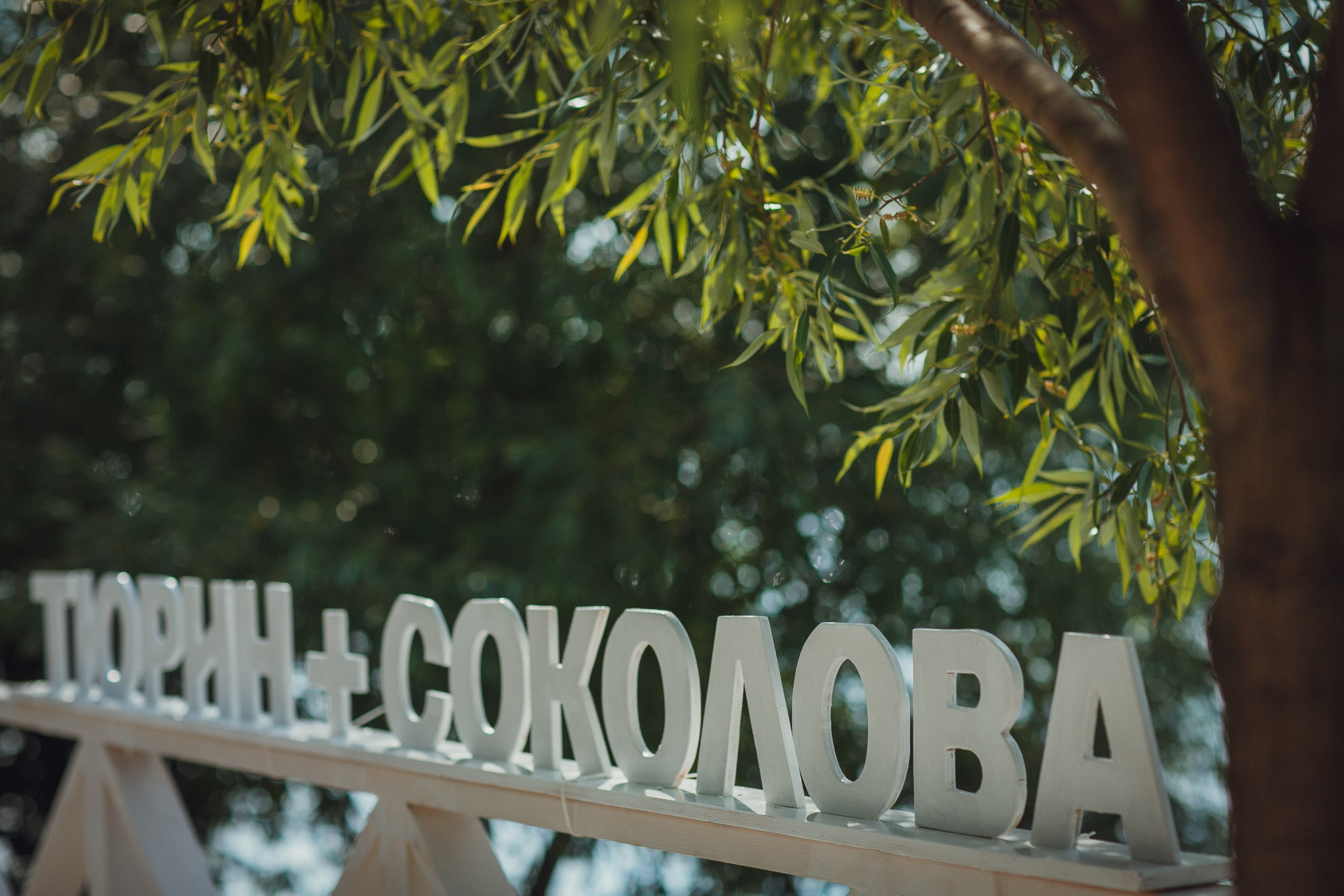 Василина и Михаил. Татьяна Фомичева. Репортажный и светский фотограф в Москве