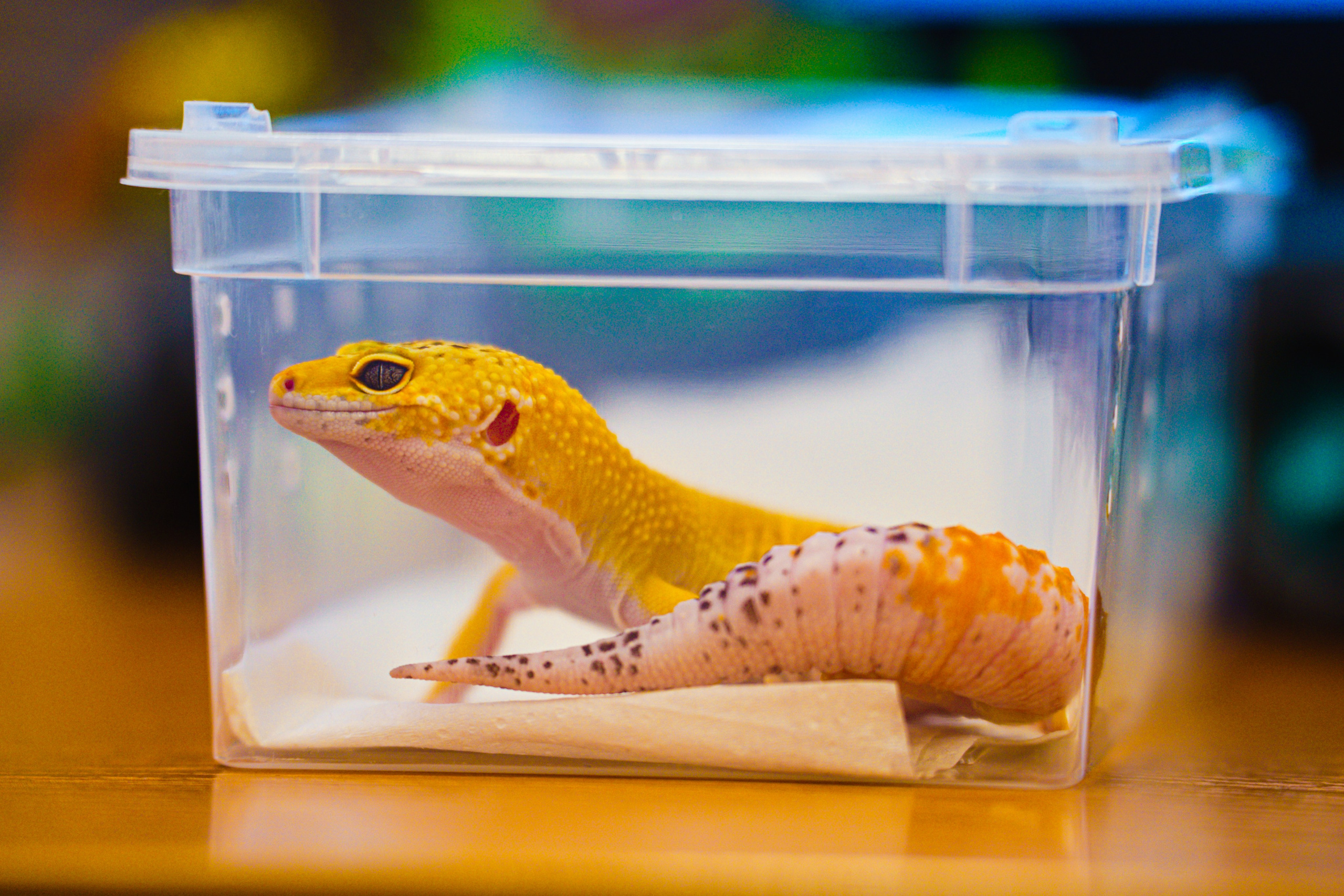 Репортажи. Владислав Кожух | Фотограф | Видеограф | Режиссёр