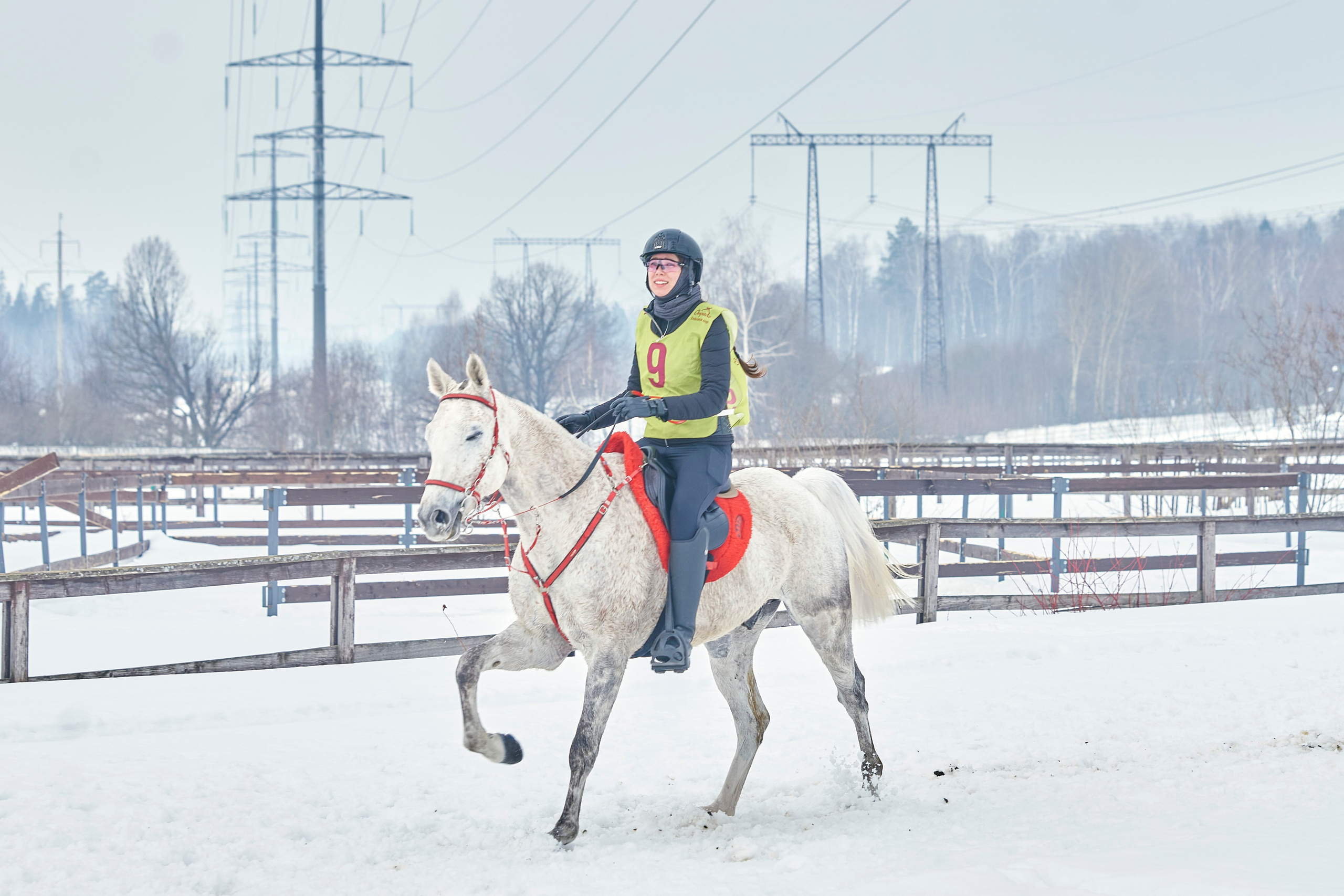 HORSE RACING. Фотограф Наталья Леонова