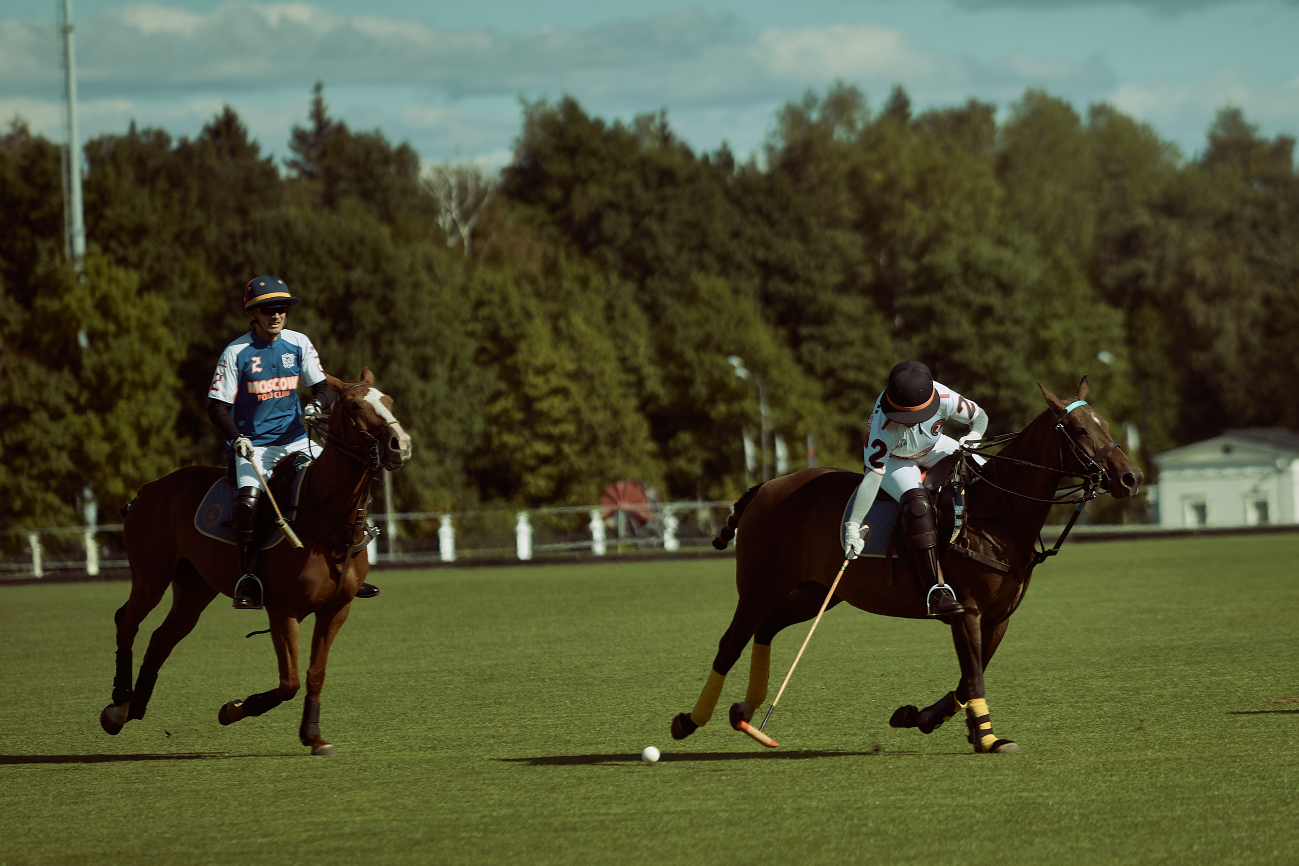 HORSE POLO. Фотограф Наталья Леонова