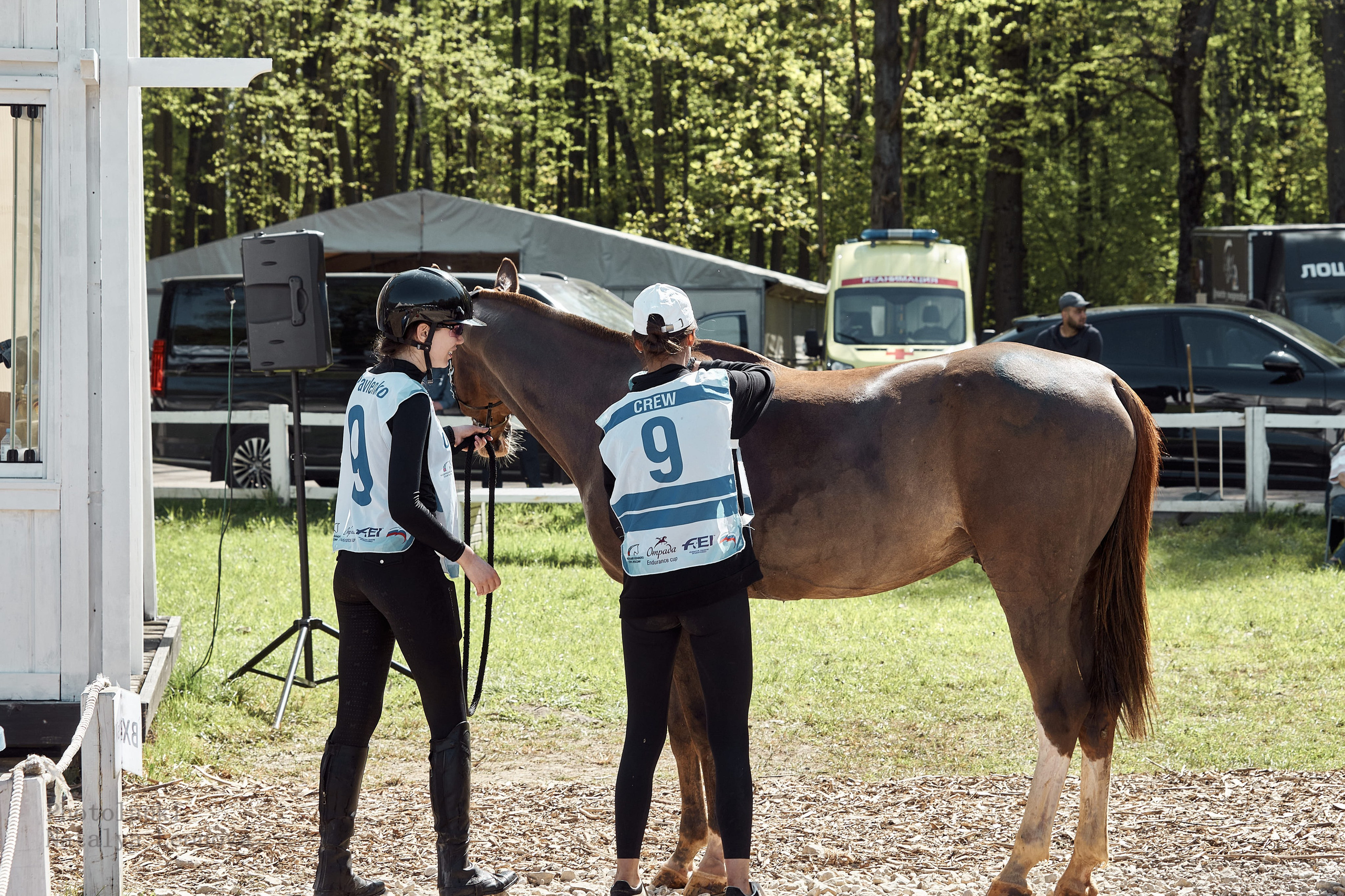 HORSE RACING. Фотограф Наталья Леонова