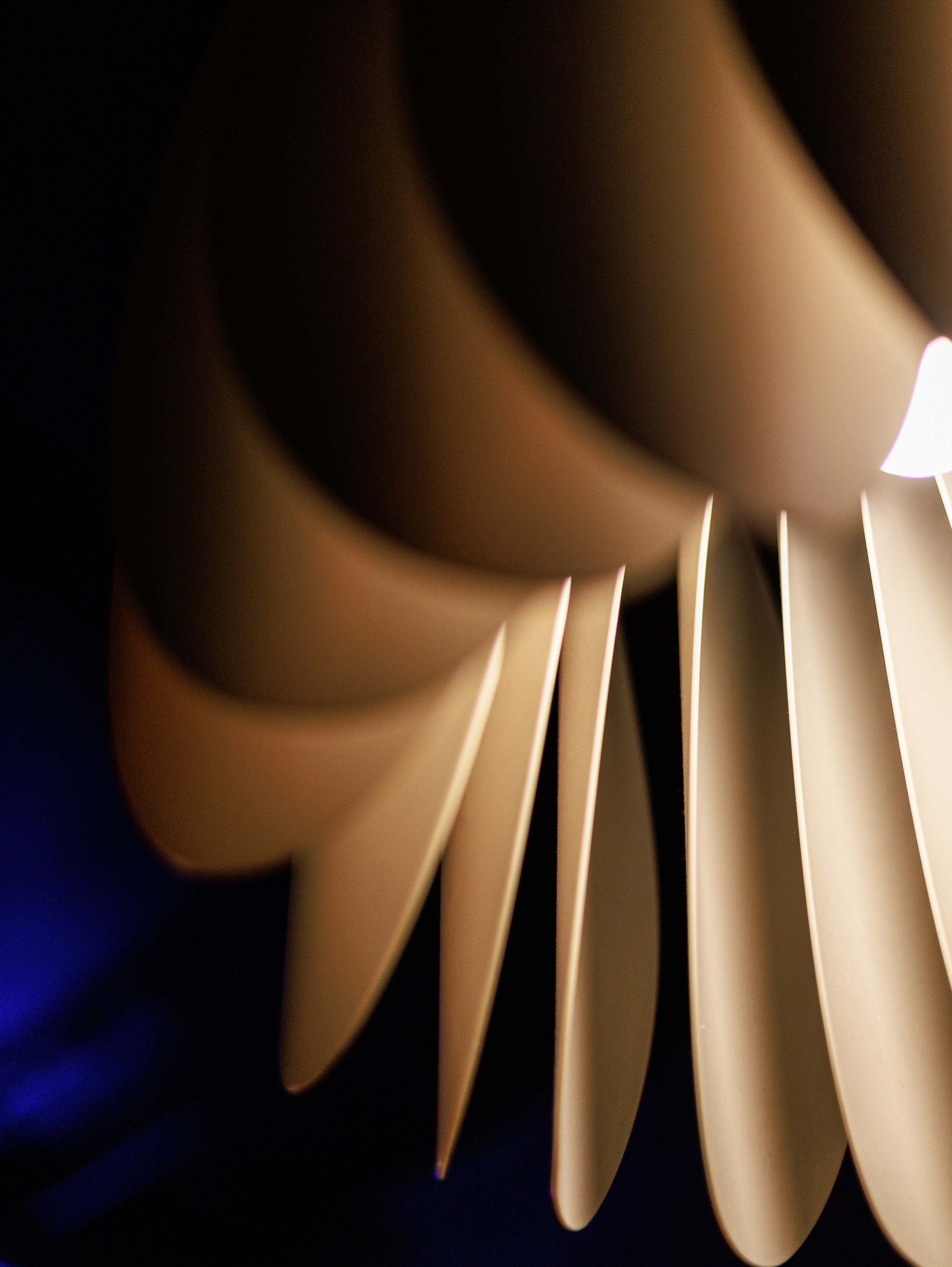 JAZZ вечер. Свадебный и репортажный фотограф в Москве