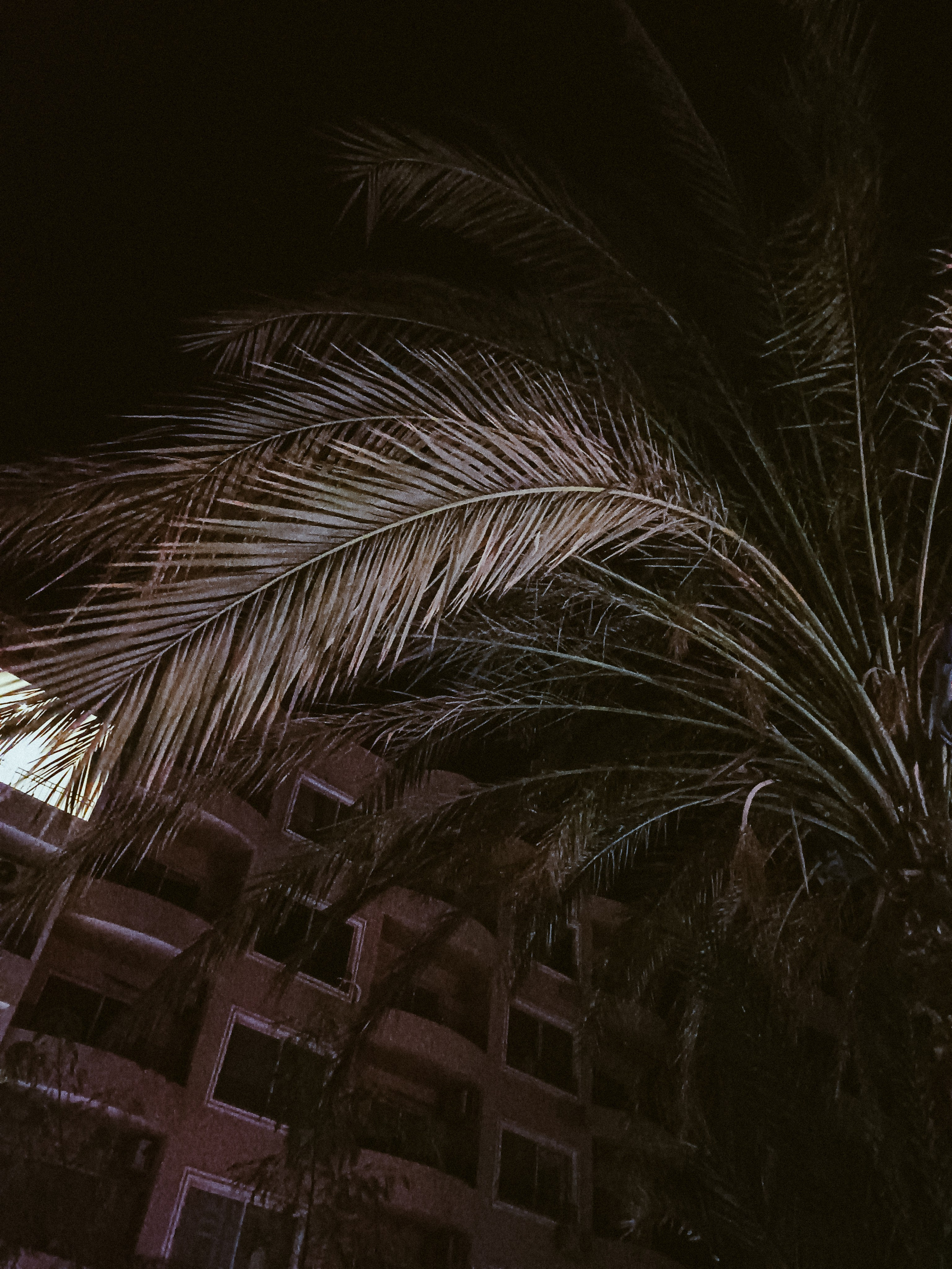 Мобильная. Jorgis — фотограф в Хургаде / обучение фотографии