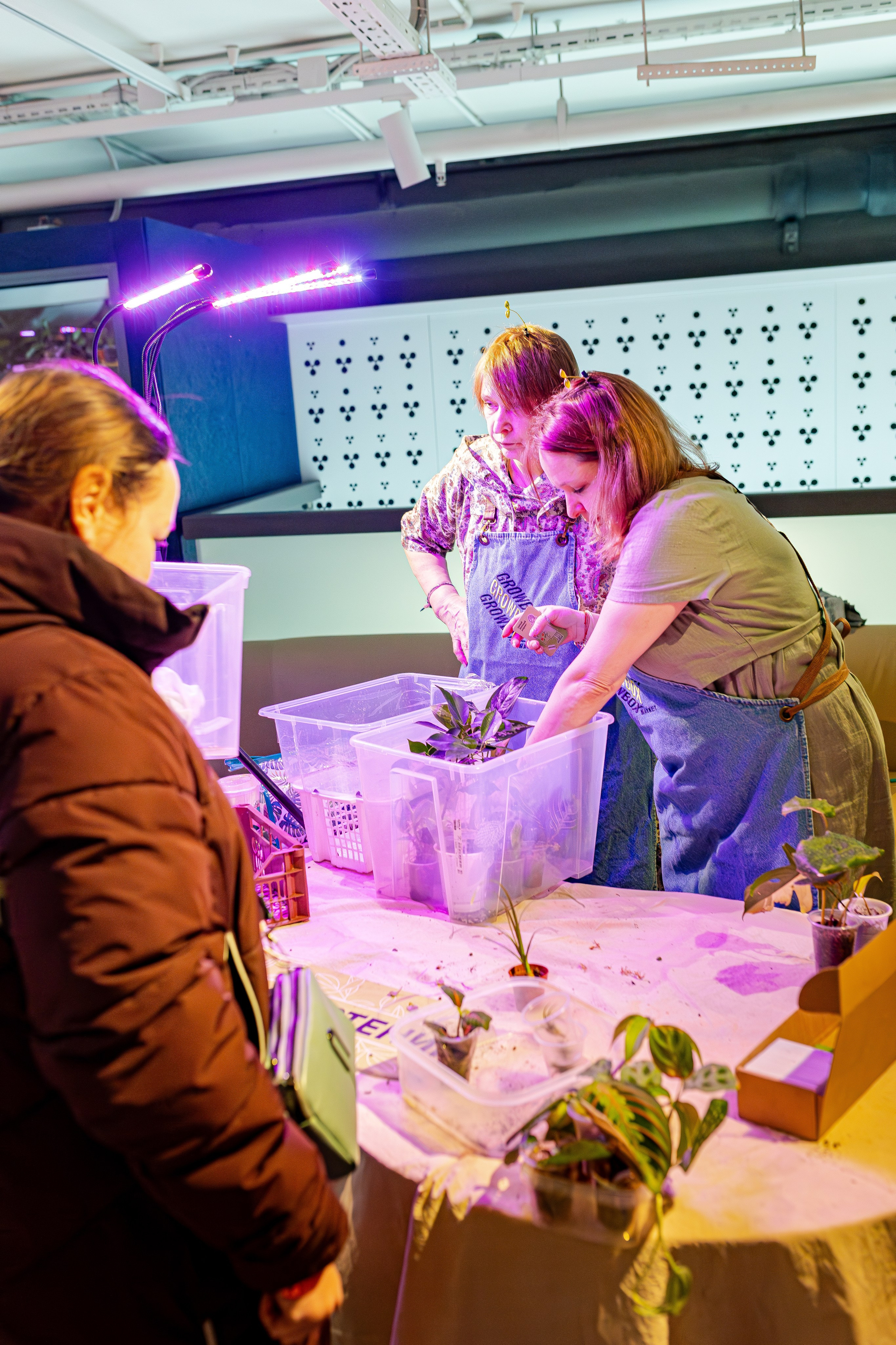 Growbox 1–2 марта. Александра Куликова фотограф, Москва