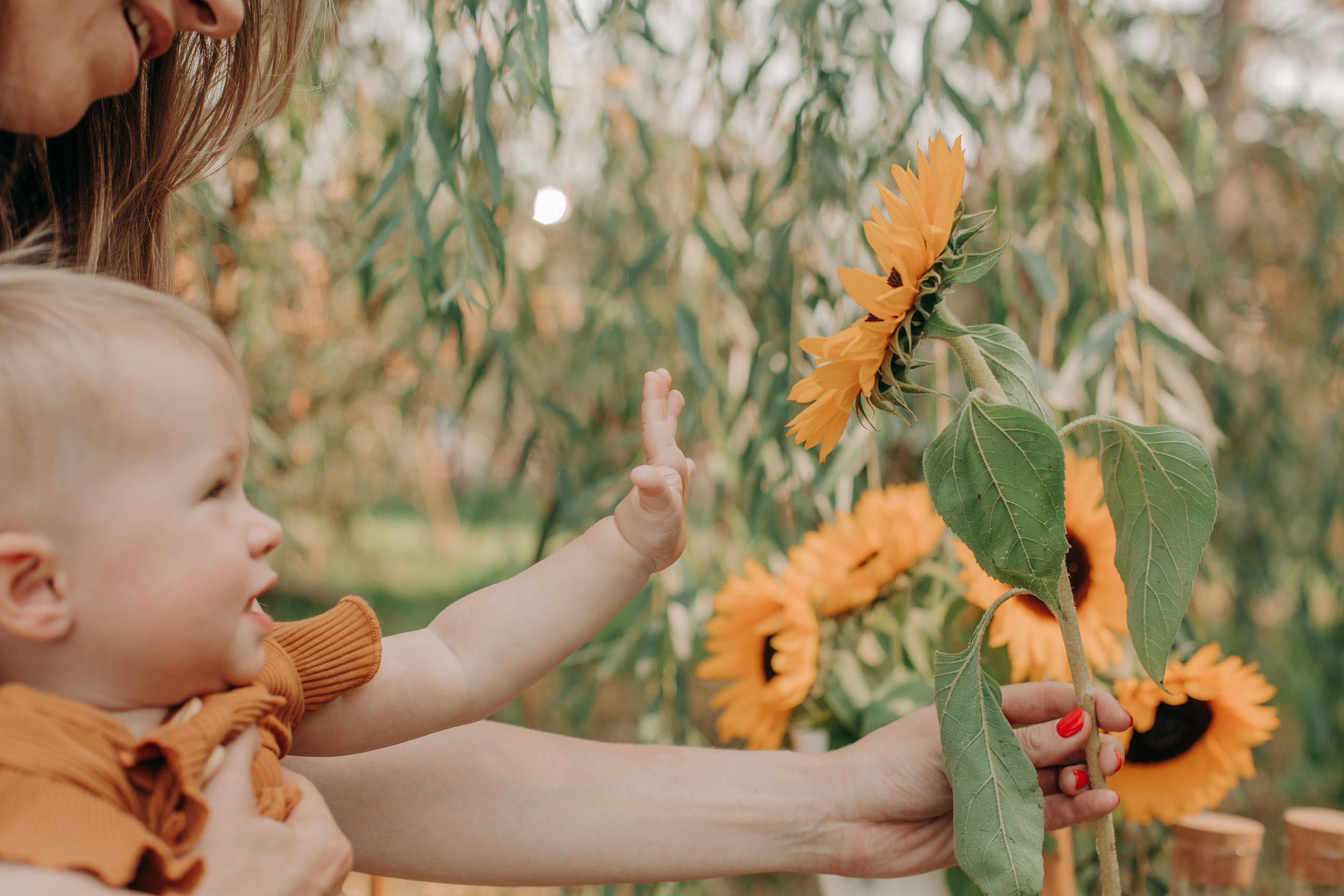 Яркие лимонные. Фотограф вашей улыбки. Москва