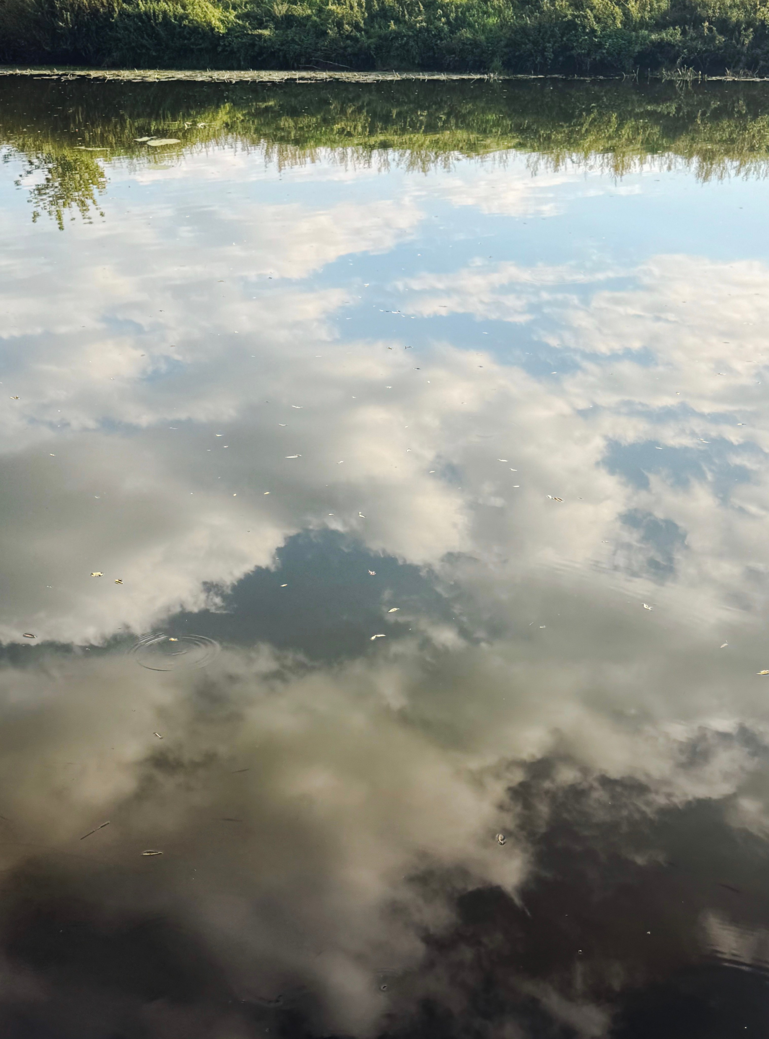 Nature. Фотограф Арсений Королев
