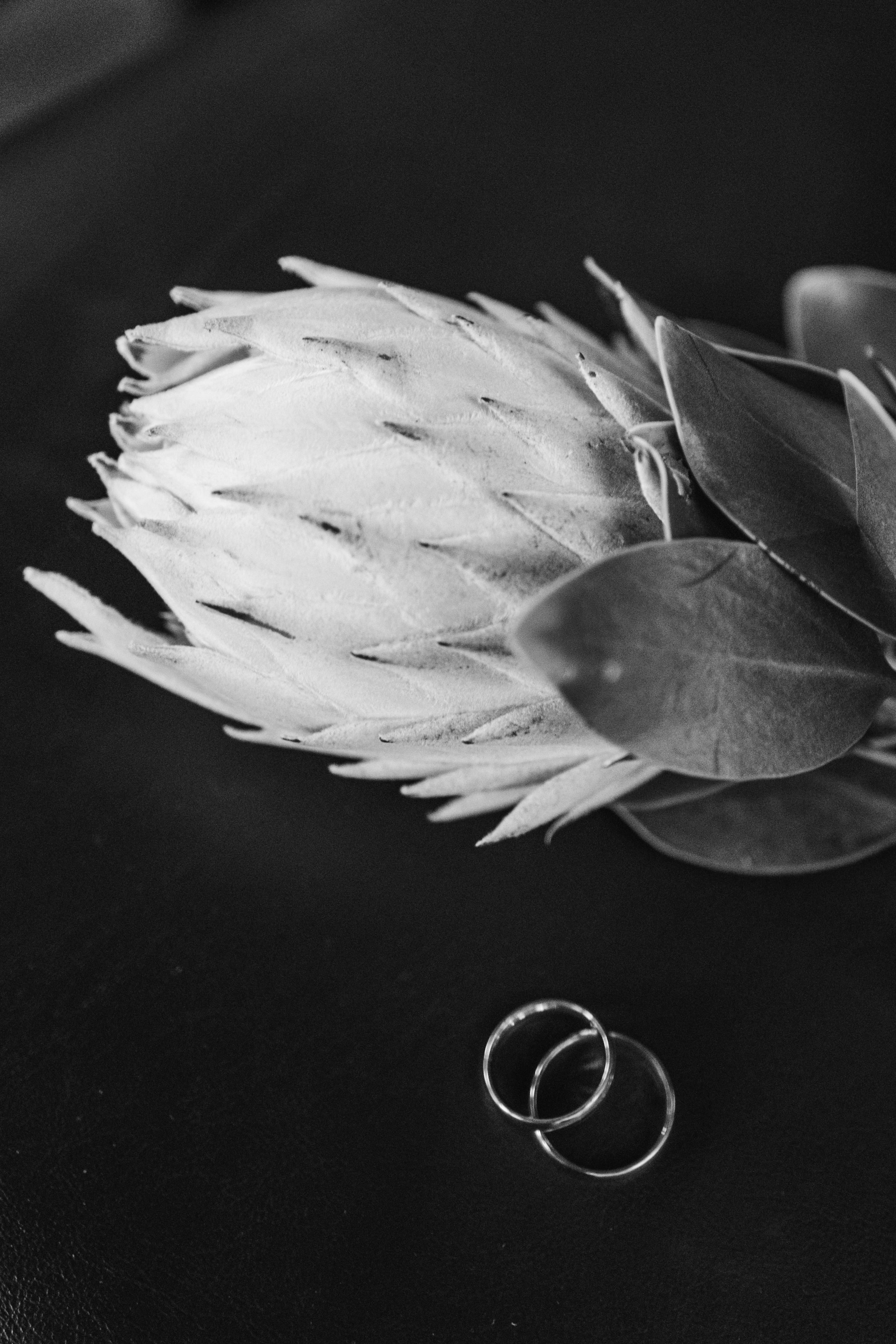 Инна и Даниэль. ФОТОГРАФ АЛИНА ФОКА