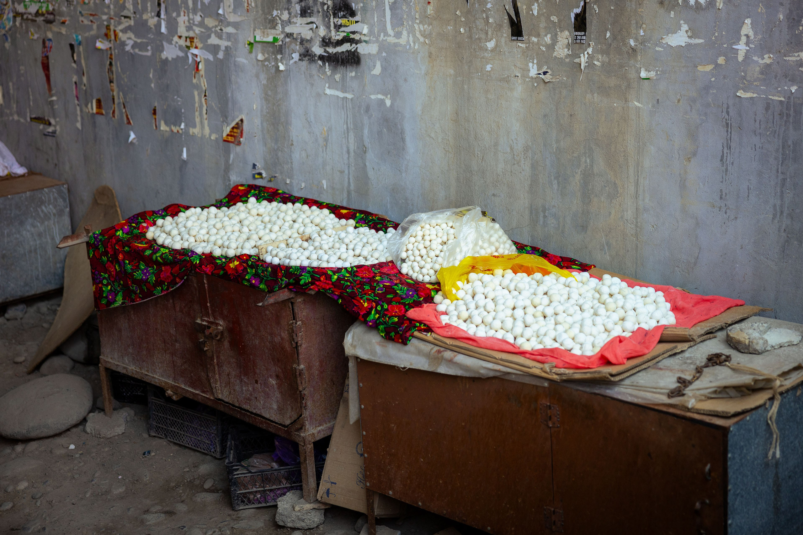 Кыргызстан (весна 2025). Фотограф Виноградов Константин