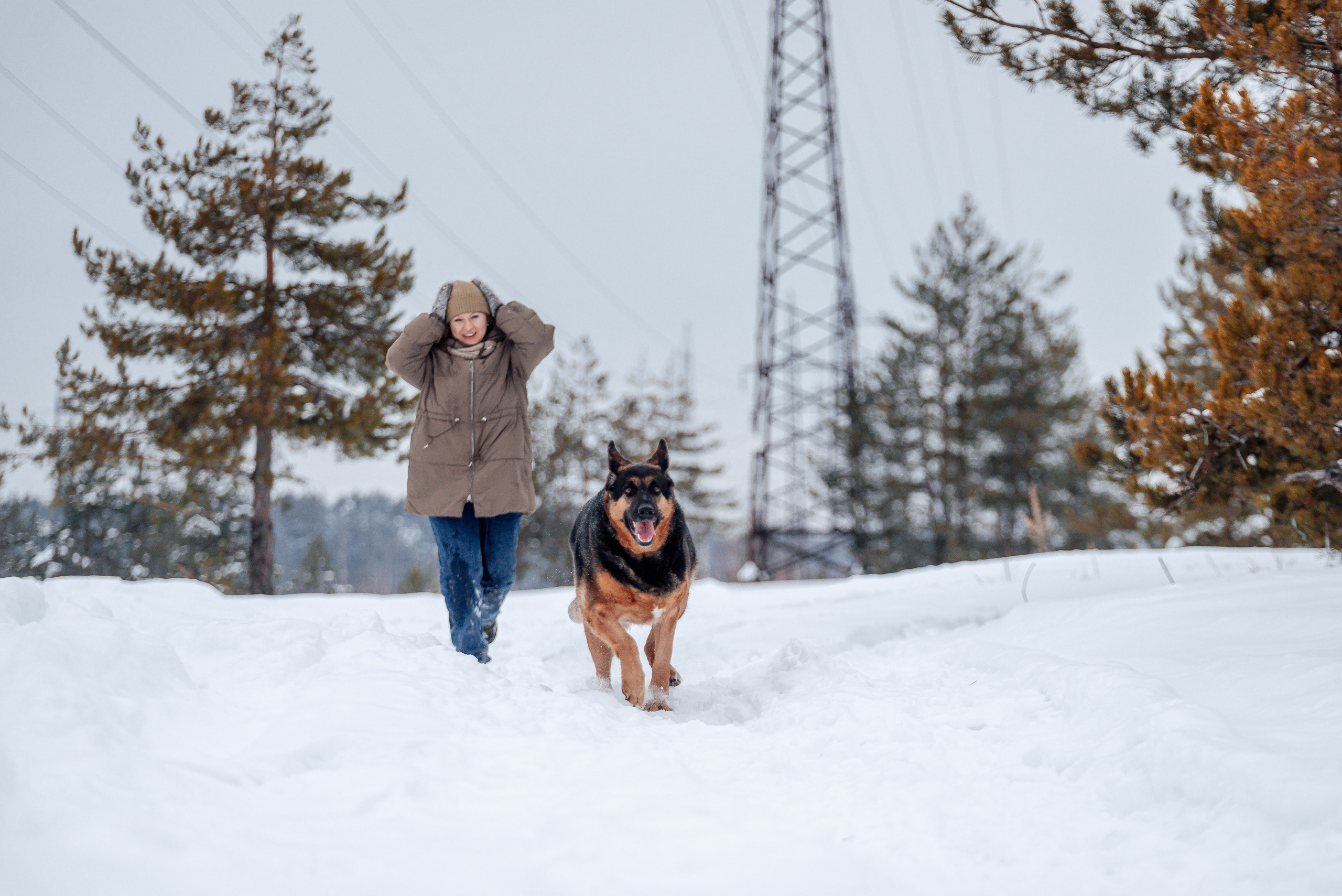 Светлана, Альфа и кошки ✨. Фотограф-анималист Анастасия Парфенова|Екатеринбург
