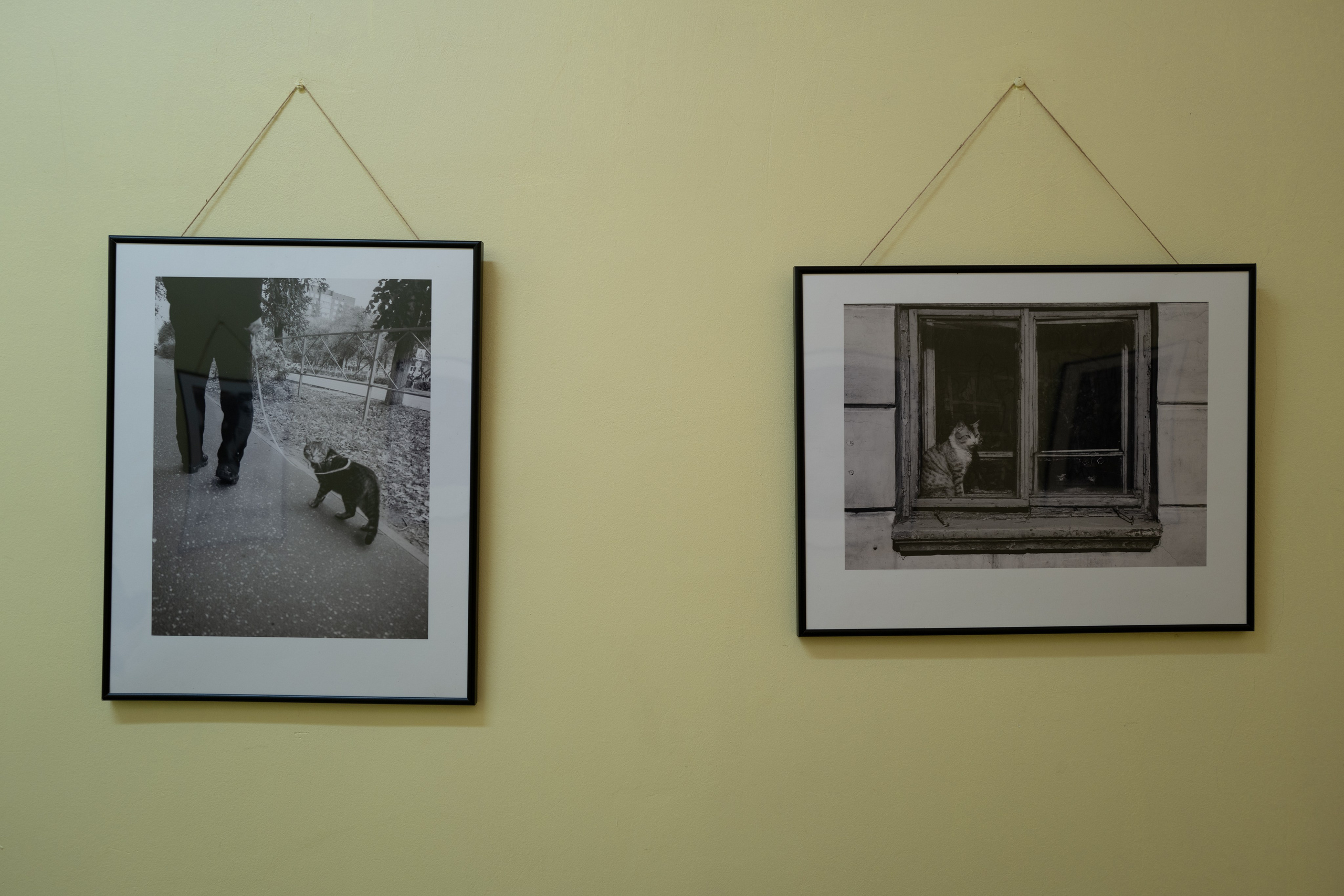 Выставка 01.04.2025. Фотограф Александр Тихонов