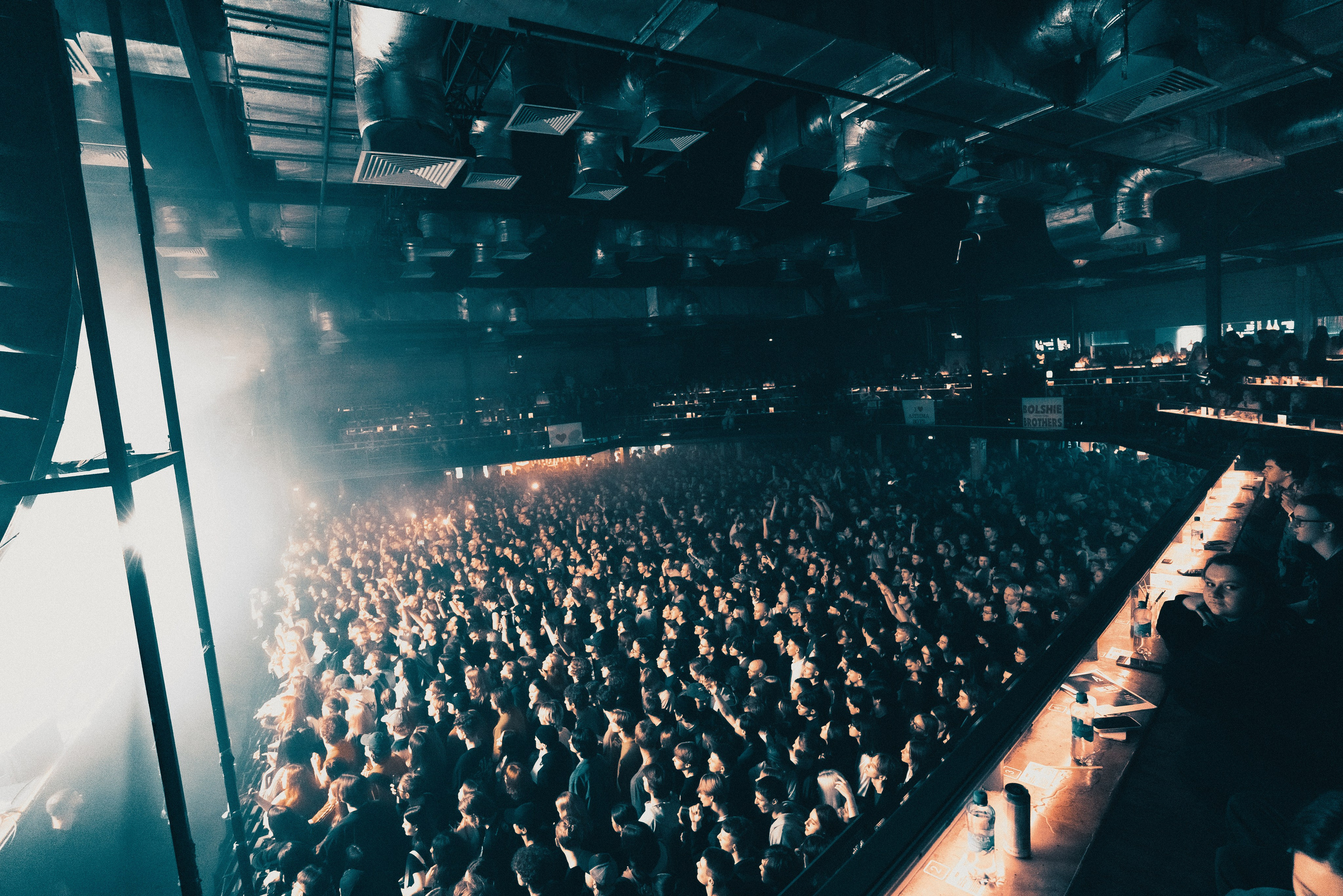 SALUKI. PASHAHARCE PHOTOGRAPHER & VIDEOGRAPHER