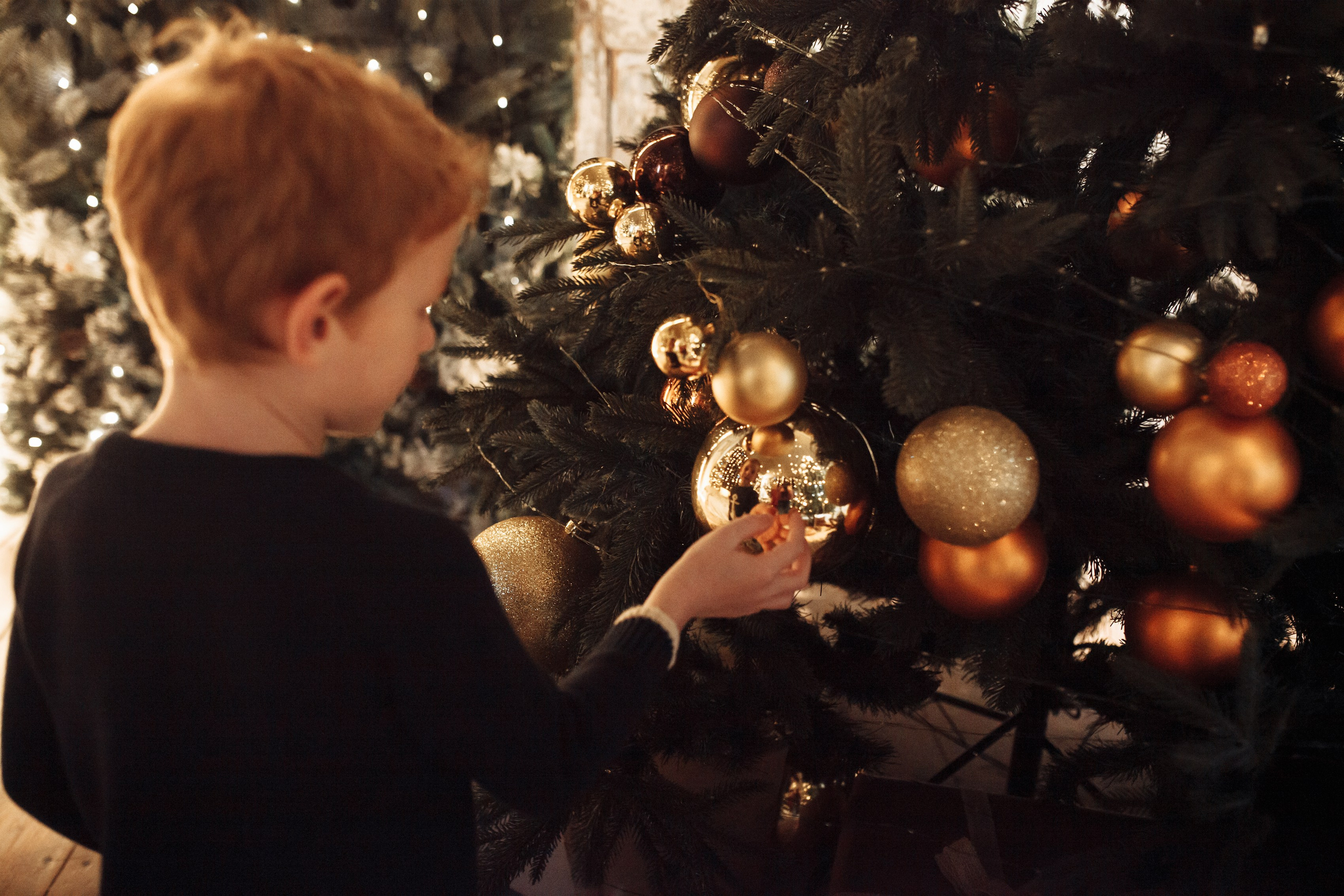 Новогодние. Фотограф Оксана Мамукаева г. Владикавказ