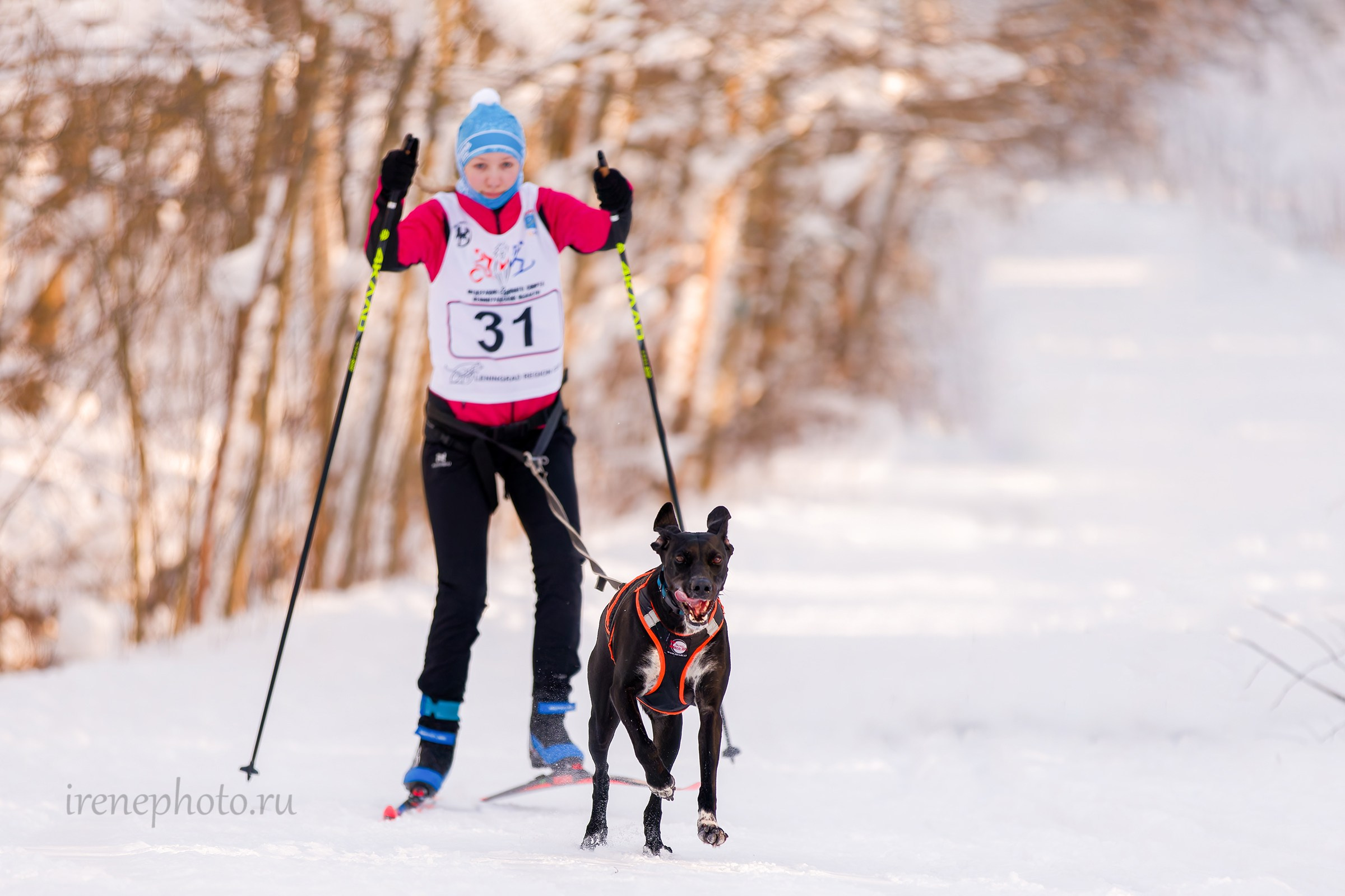 Чемпионат и Первенство Ленобласти — зима 2026. Irenephoto.ru