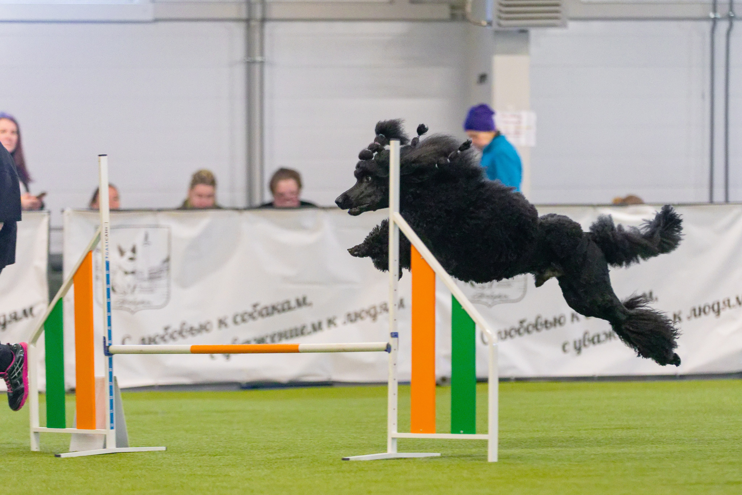 Baltic Cup 2024. Irenephoto.ru