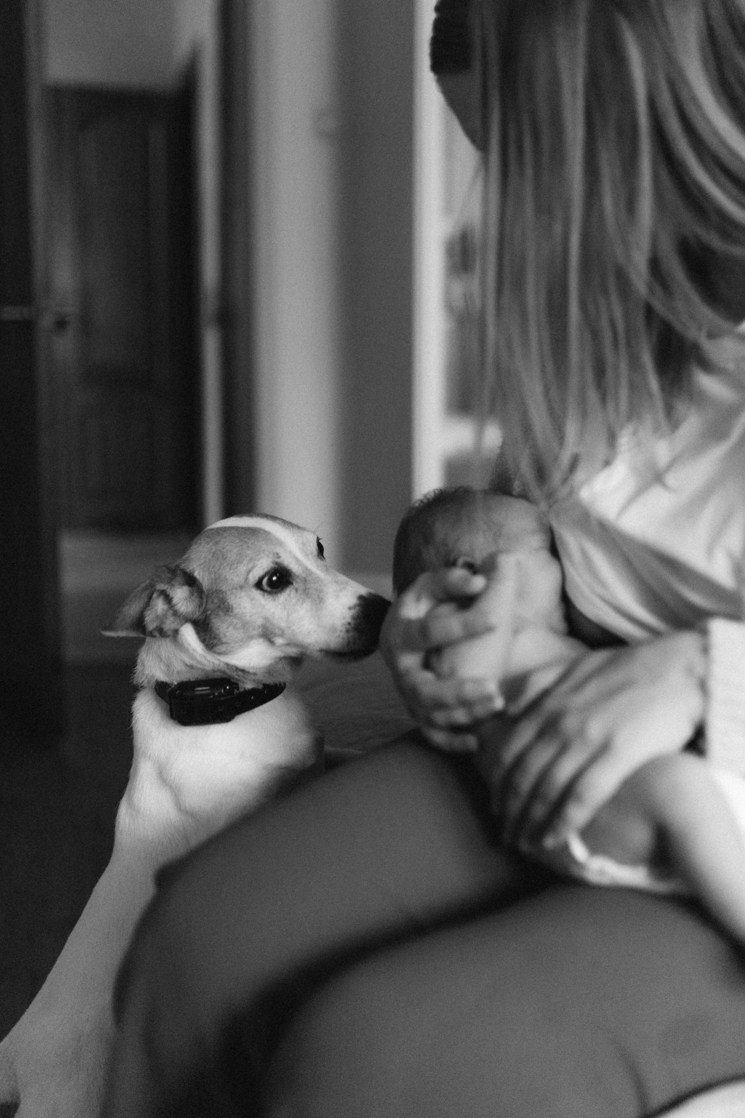 Дома с малышами. Семейный и парный фотограф Мария Куцко