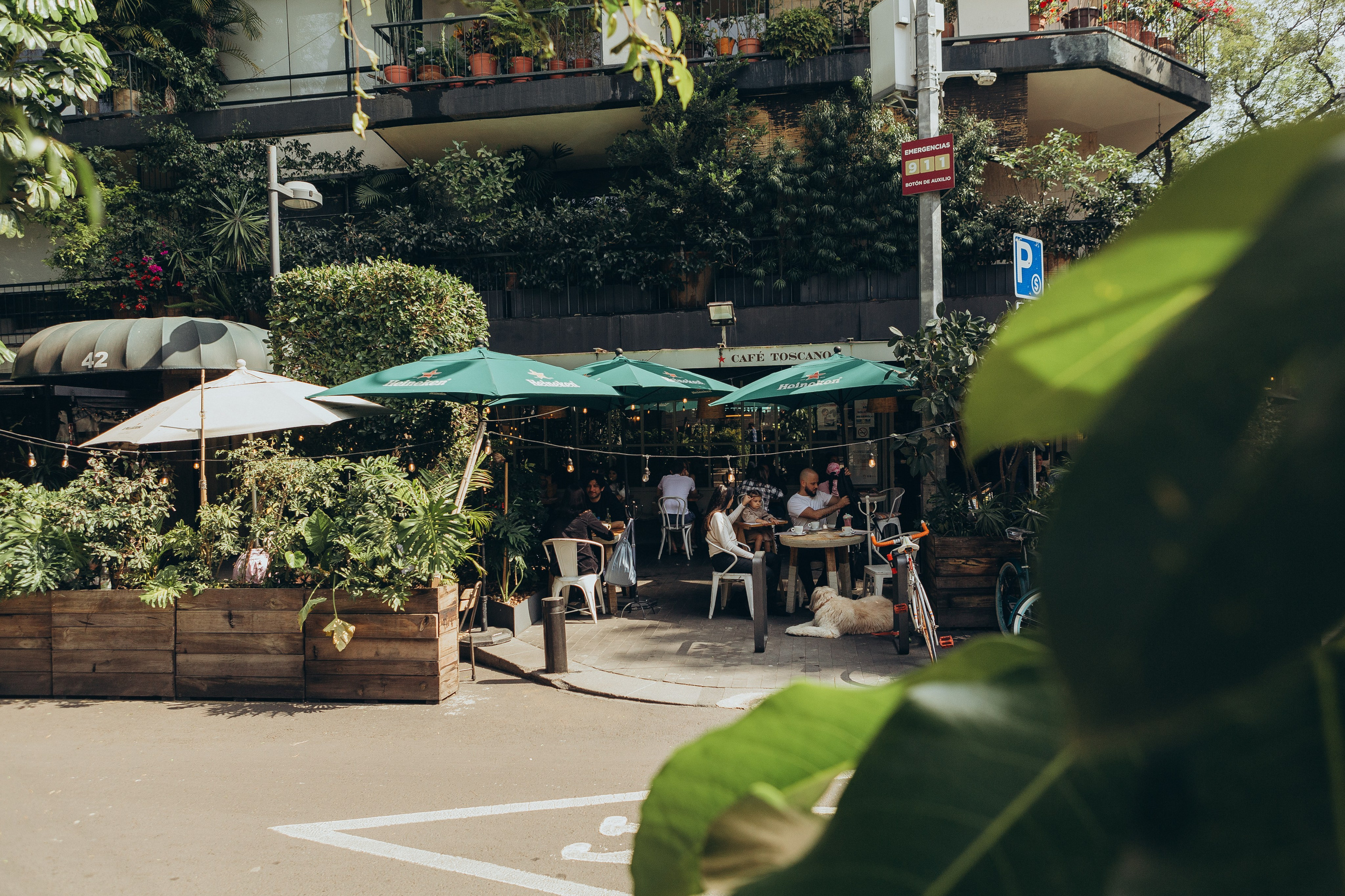 fotosesión familiar CDMX, fotografo Ciudad de Mexico, family photographer Mexico City, фотограф Мехико