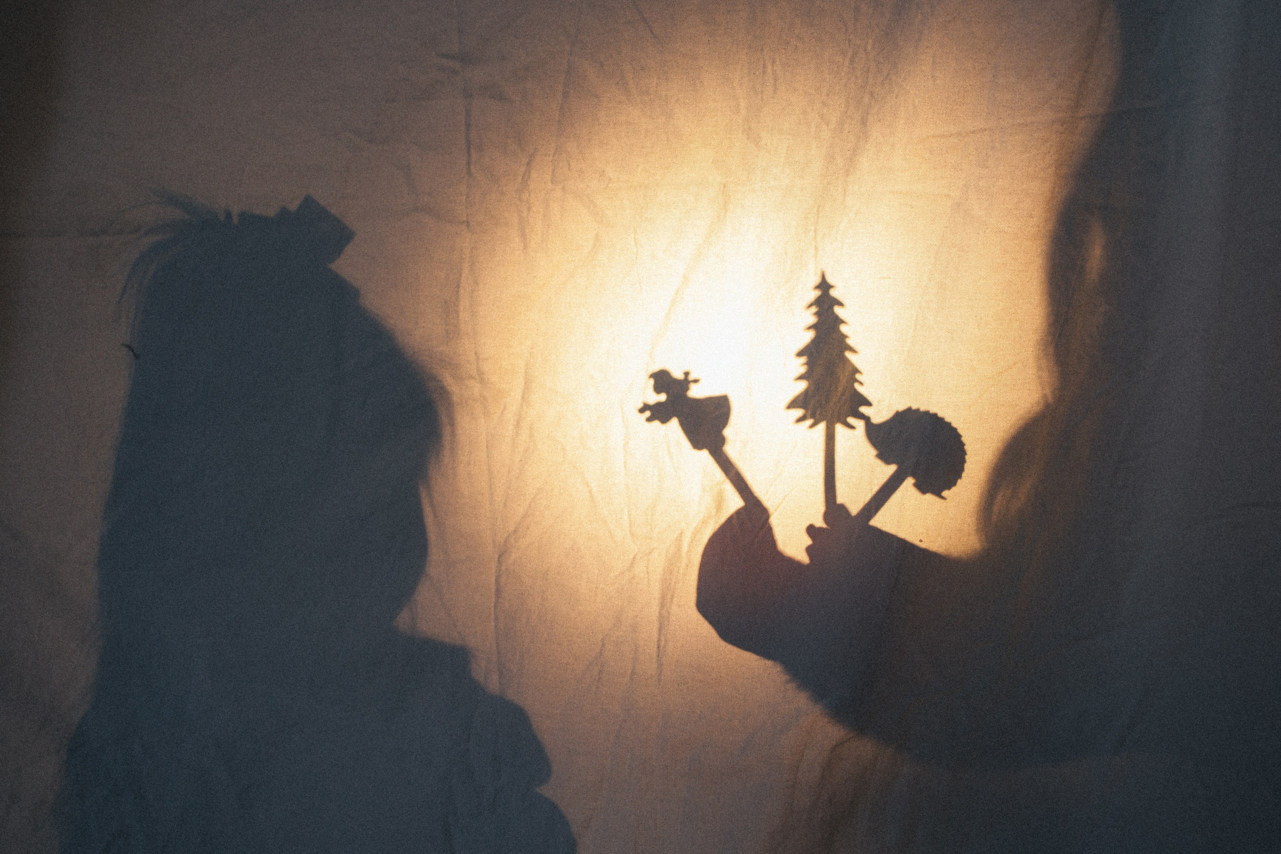 Новогодняя. Фотограф из Краснодара Мария Приходько