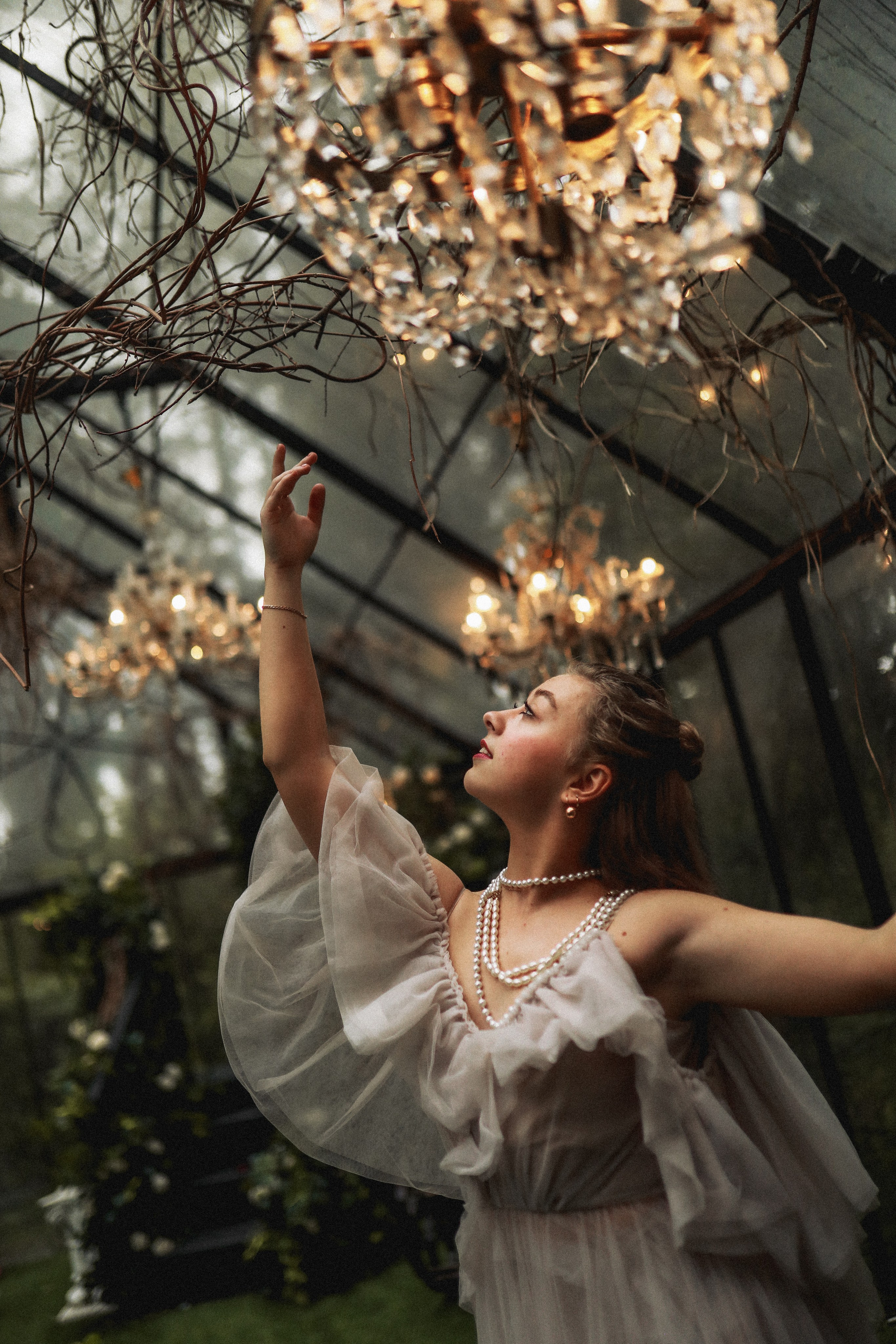 Зачарованный лес