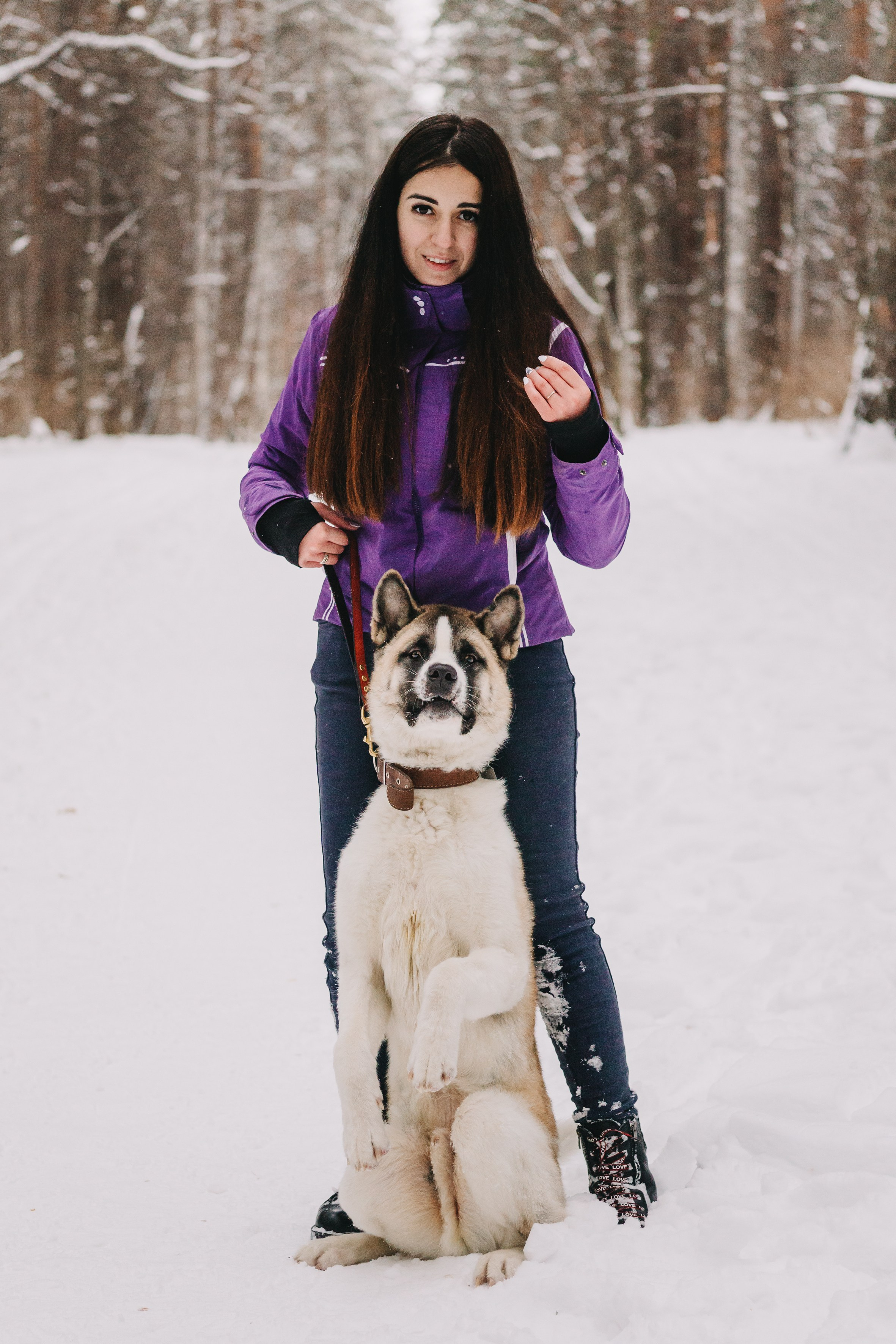 Life with dog. Saamill