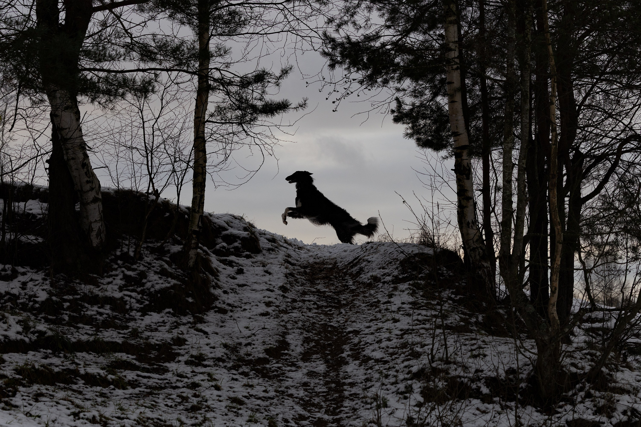 Катя и Гримм. Мои работы