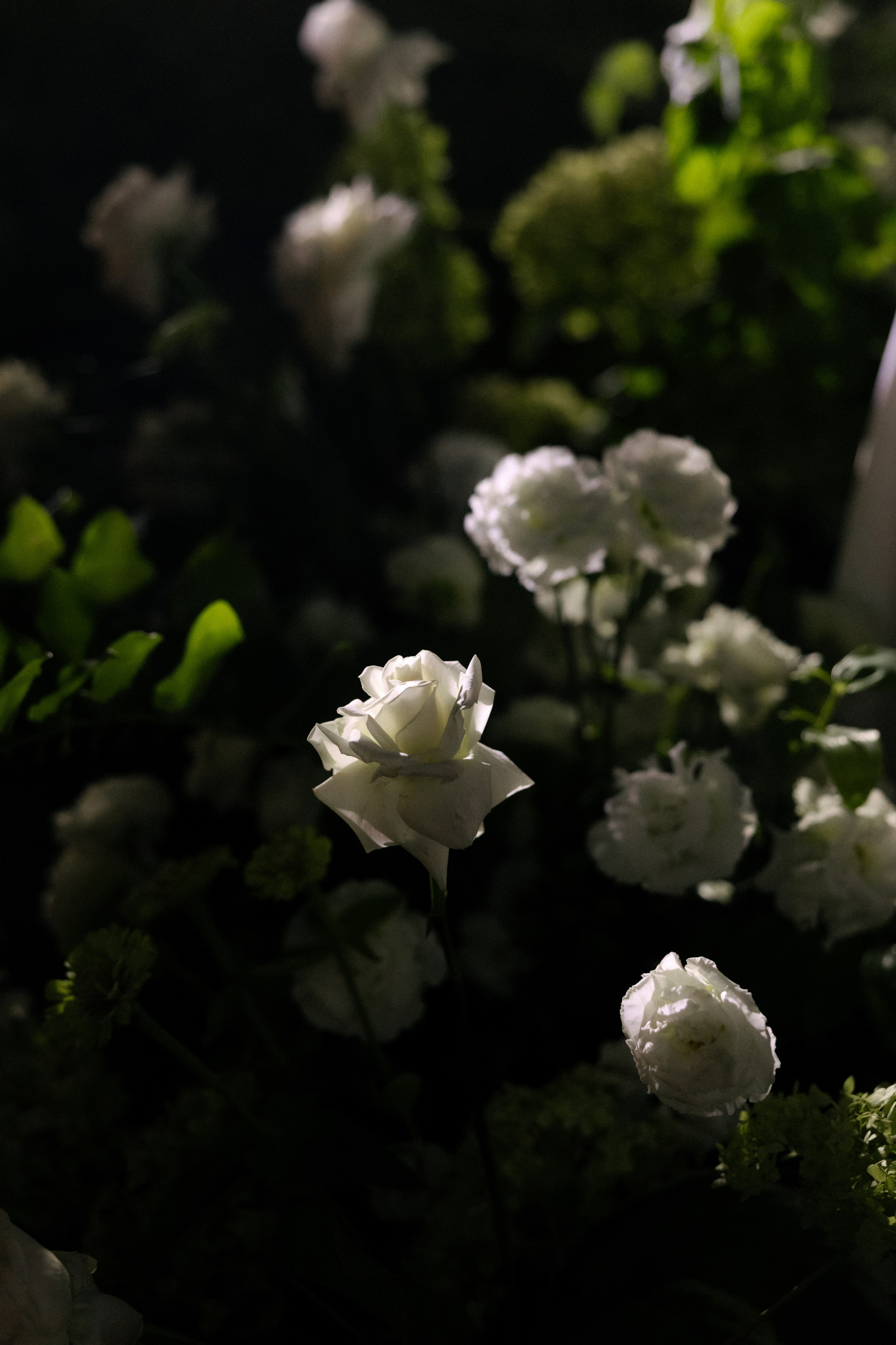 B+L. Свадебный и семейный фотограф Юлия Сафронова