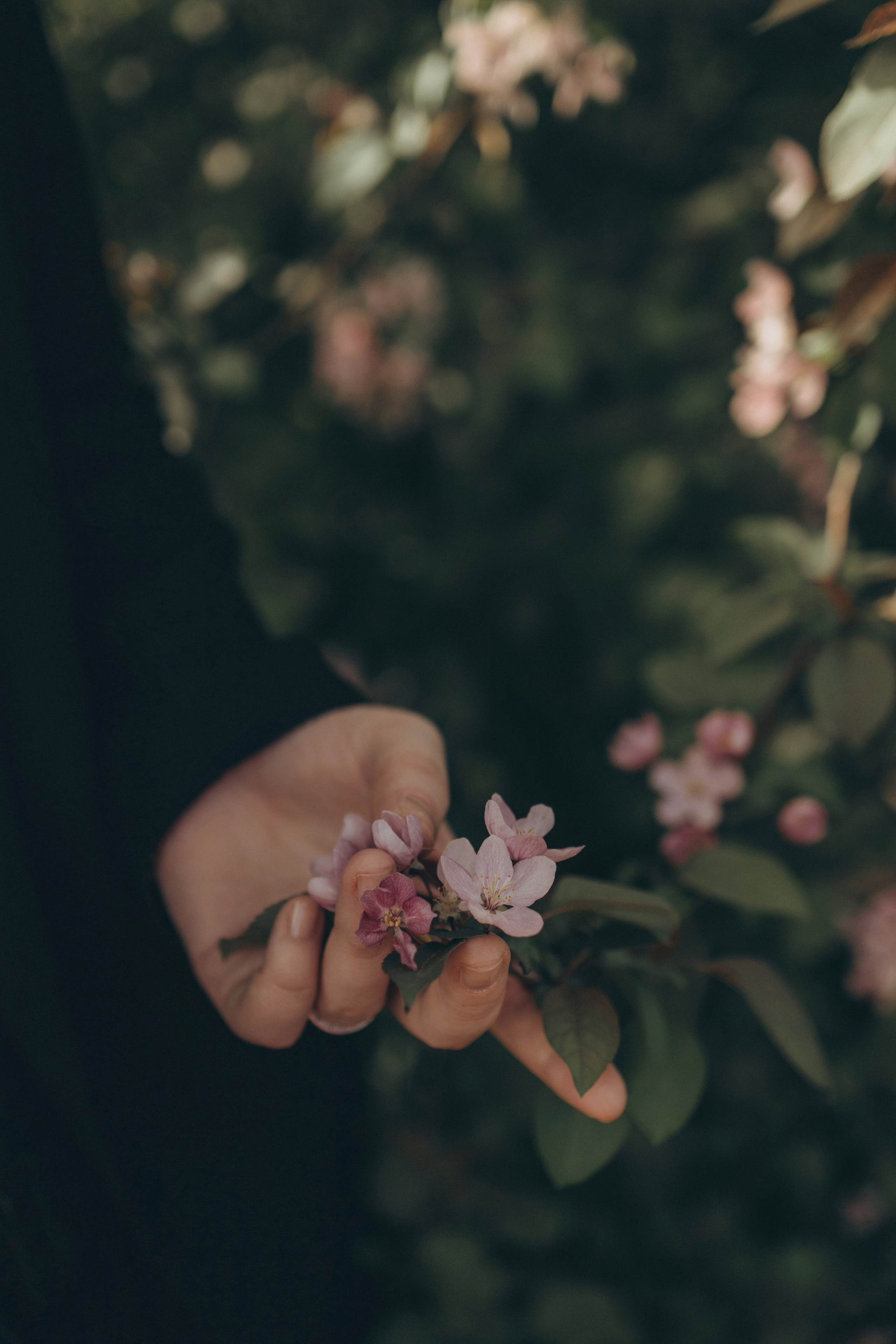 Эмма в цветении. Фотограф Ксения Железникова