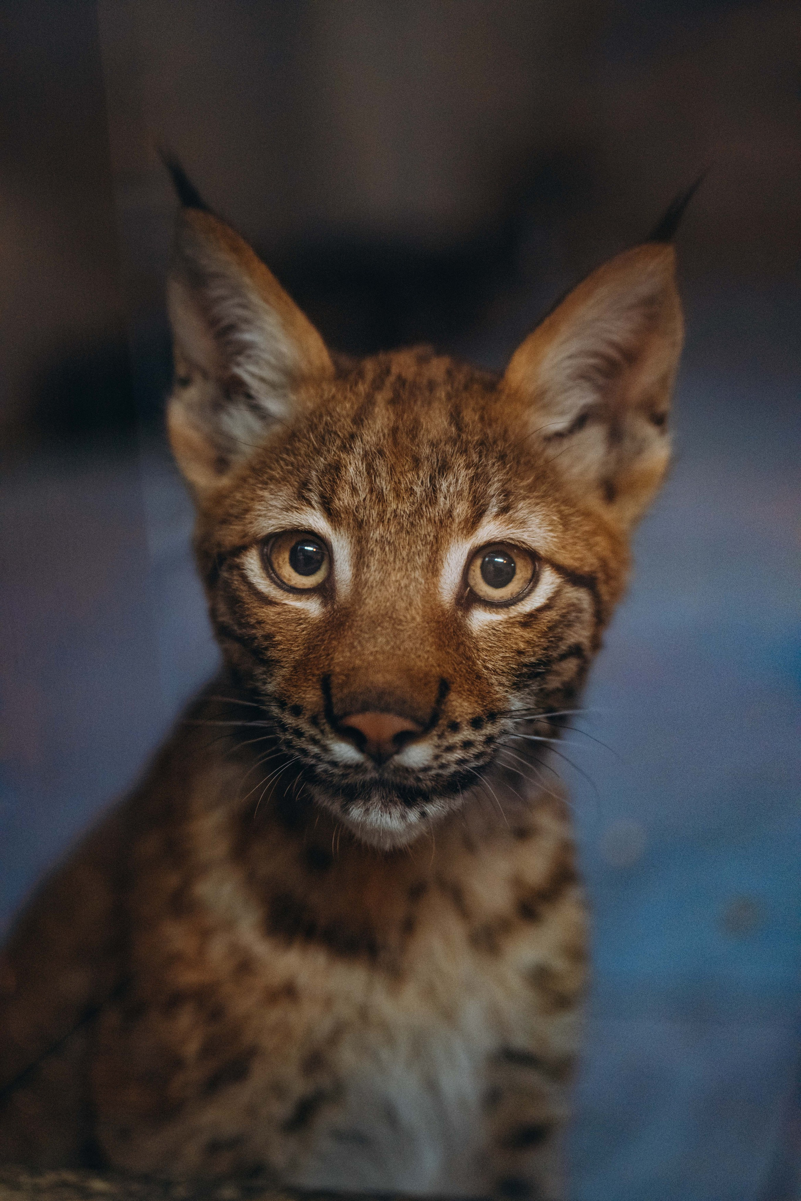 СЕВЕР. Event фотограф Степанова Александра