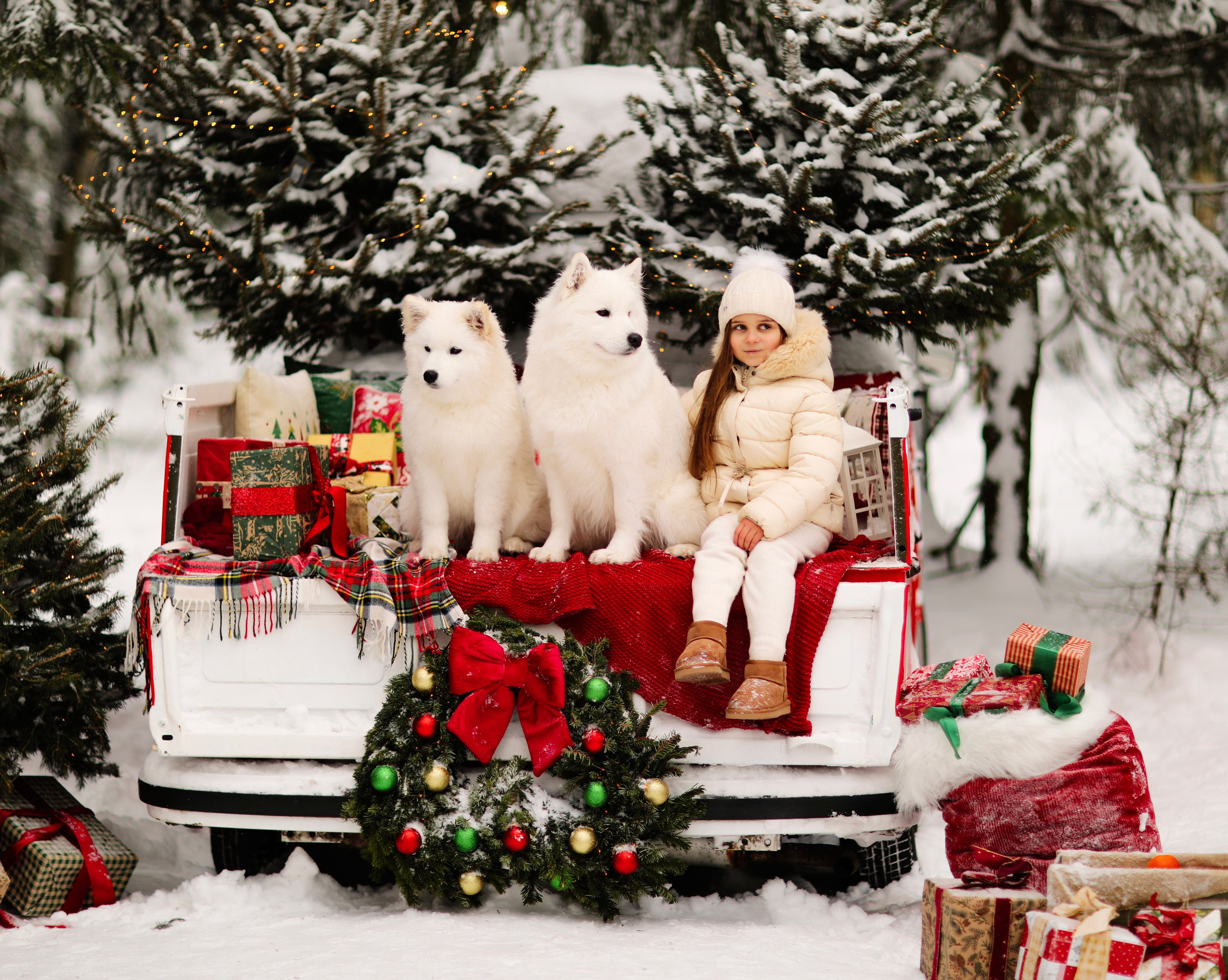 Winter Tale (зимняя детская фотосессия с самоедами). Семейный и детский фотограф Москва