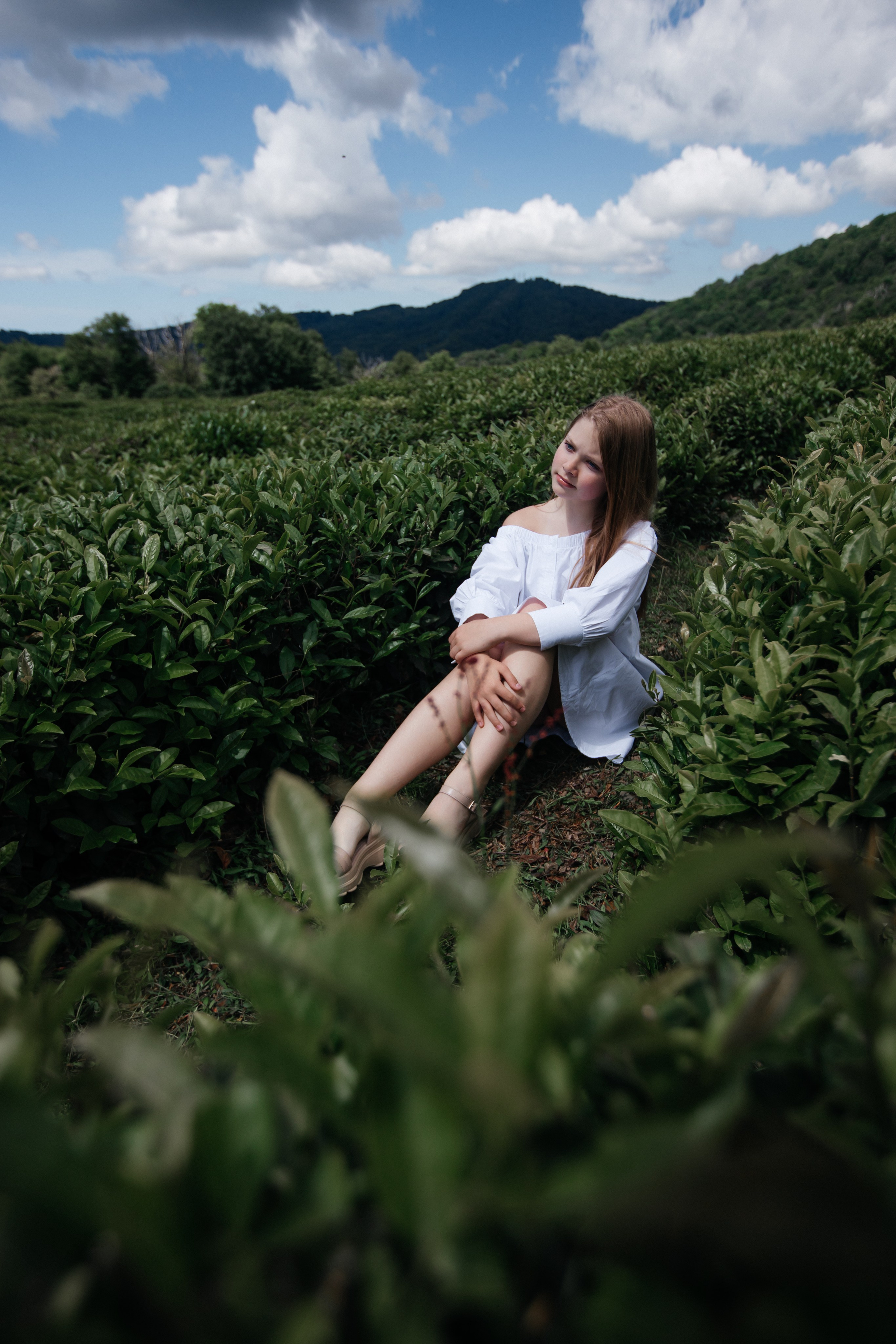Tea plantation. Efimova Model Agency