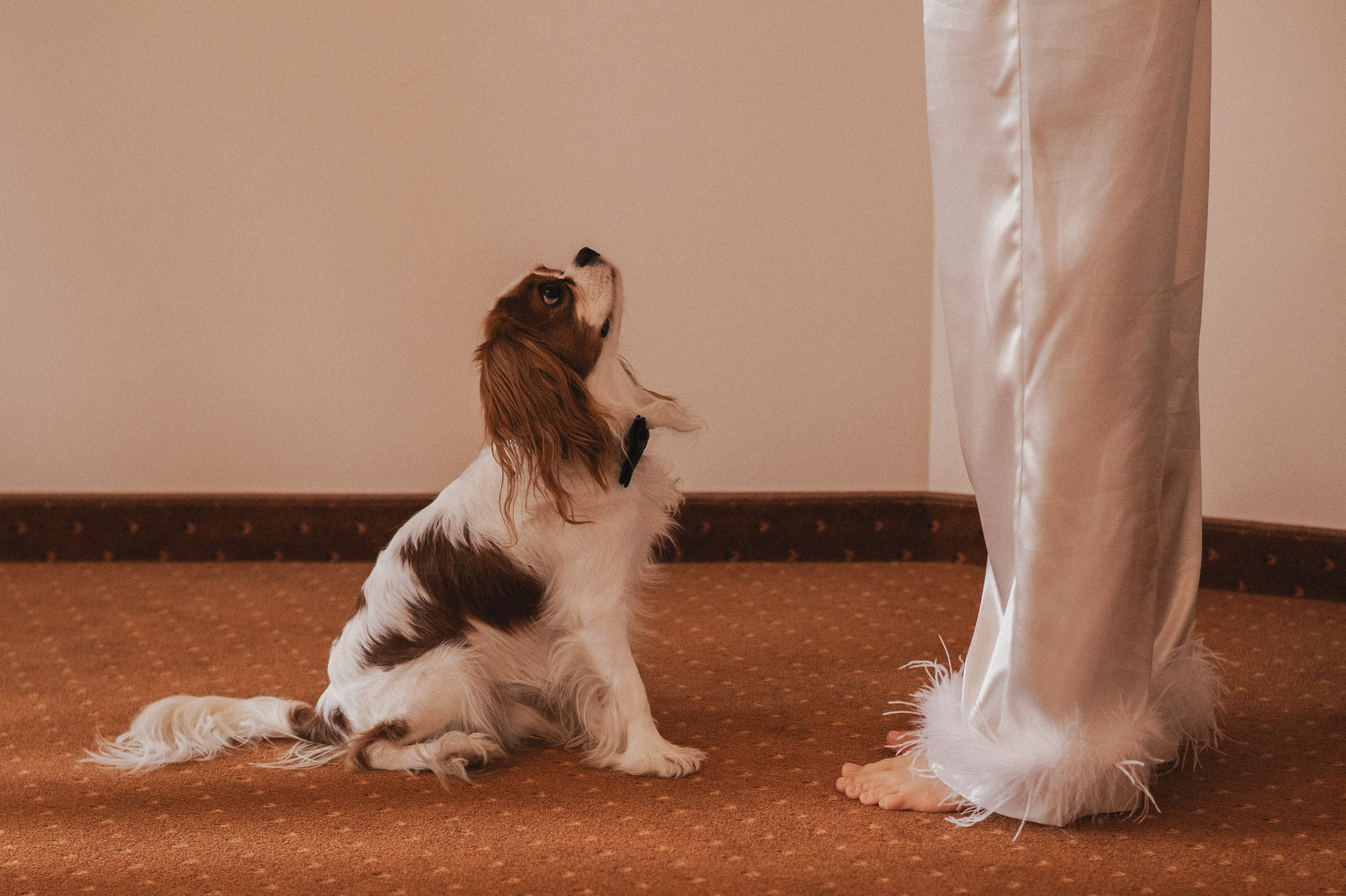 Альбом 24. Свадебный фотограф в Рязани Дзюрак Елизавета