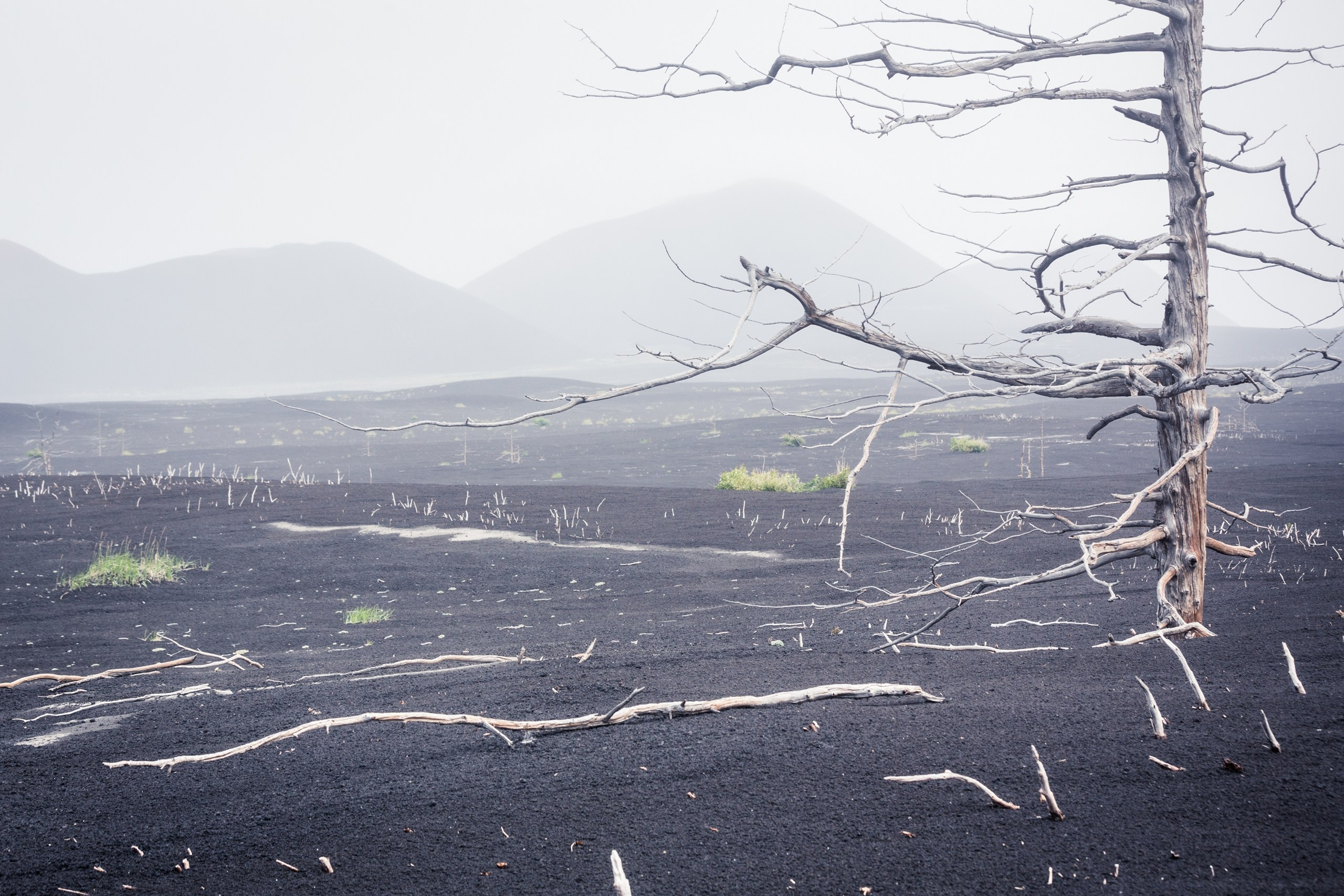 Камчатка. Фотограф Владимир Медведев