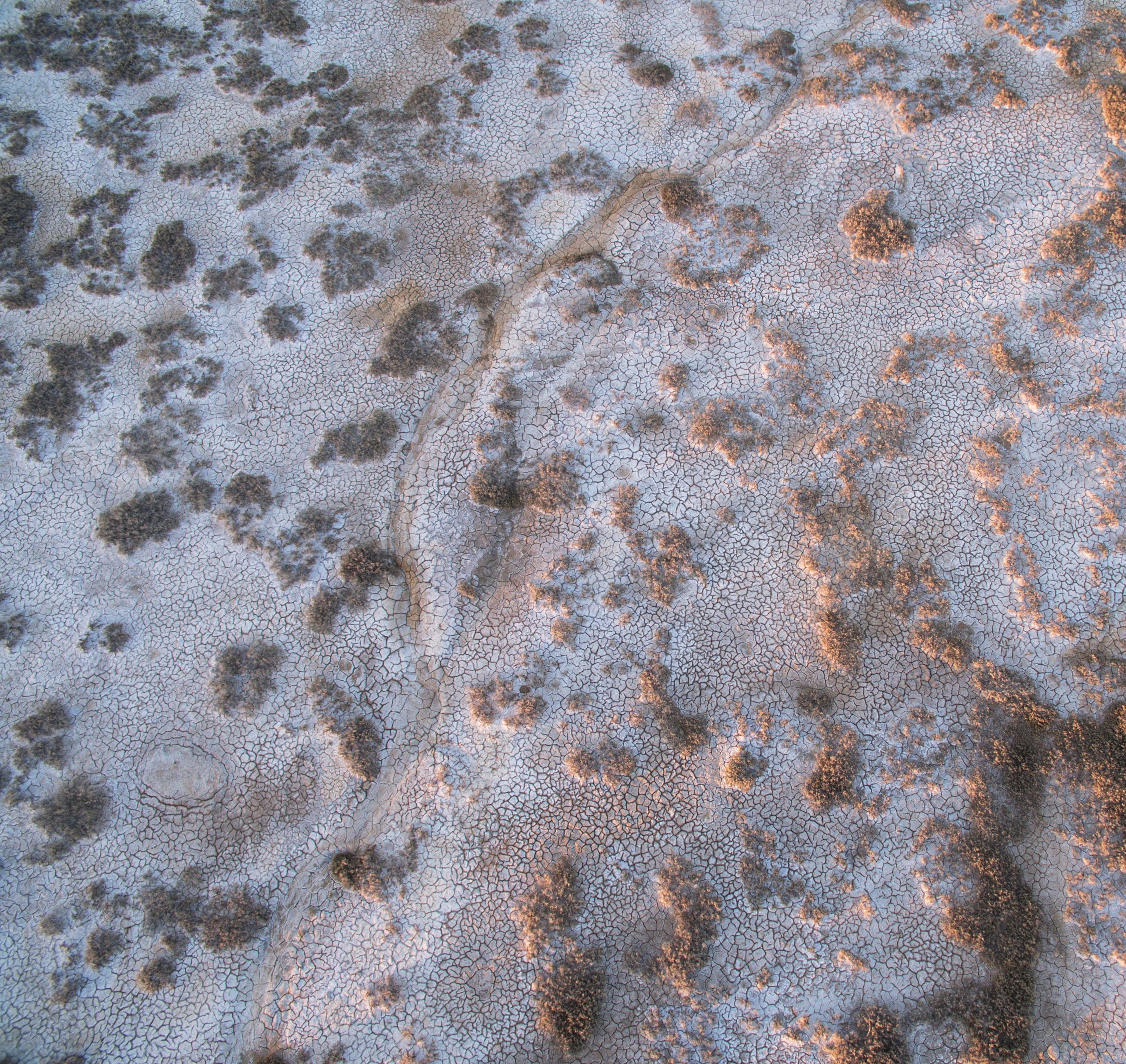 Озеро Эльтон. Фотограф Владимир Медведев