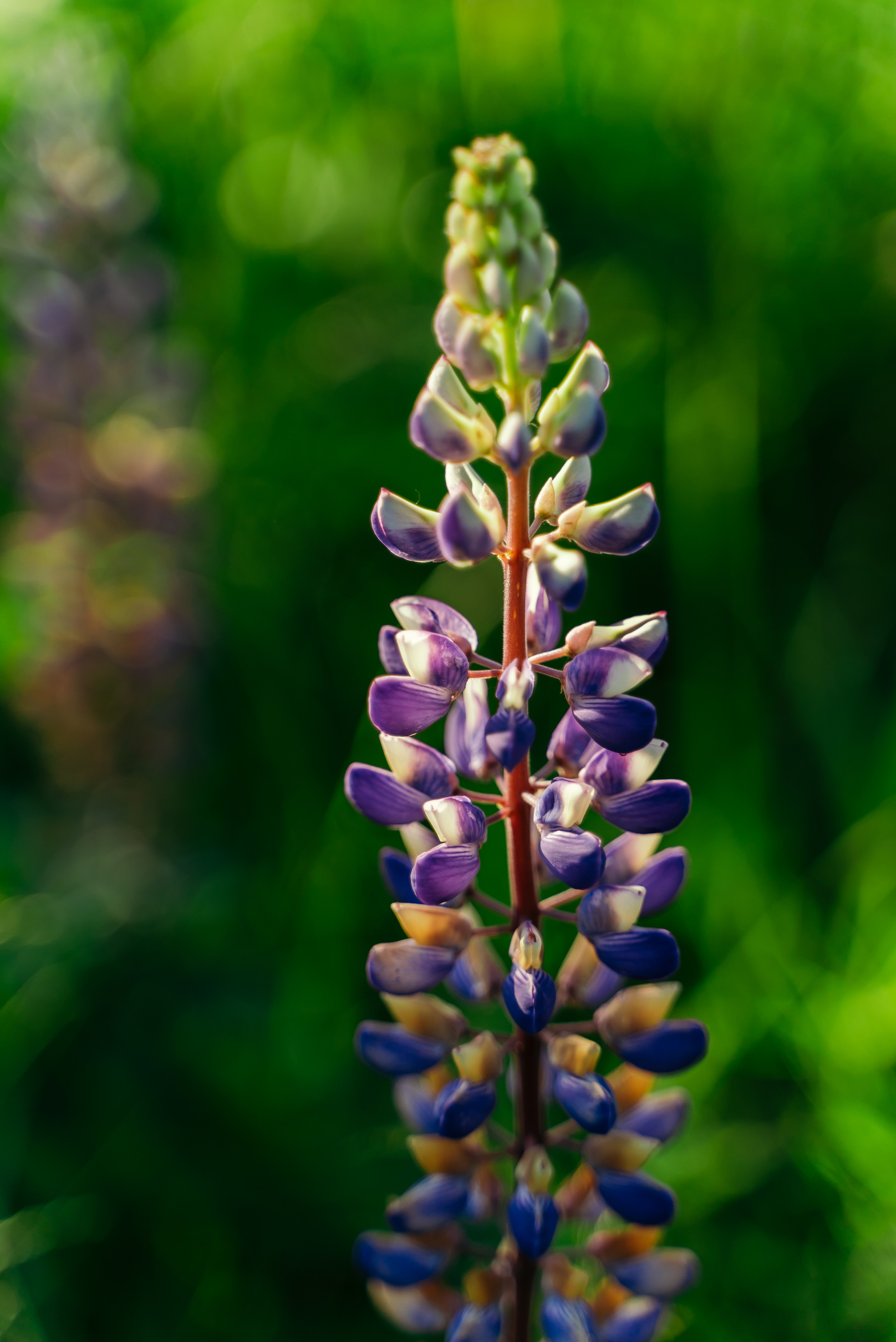 Пейзажи. Reportage and Real Estate Photographer