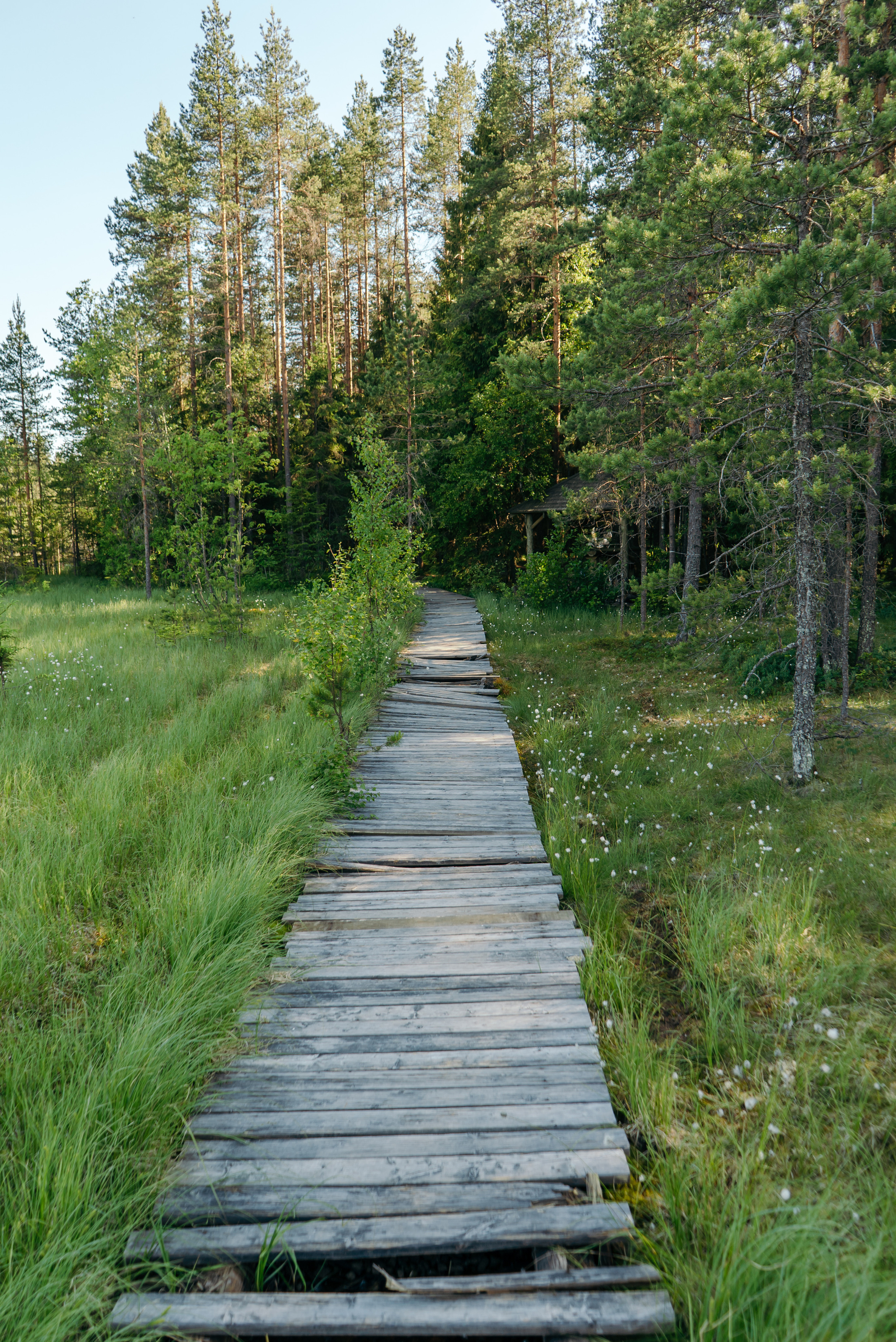 Пейзажи. Reportage and Real Estate Photographer