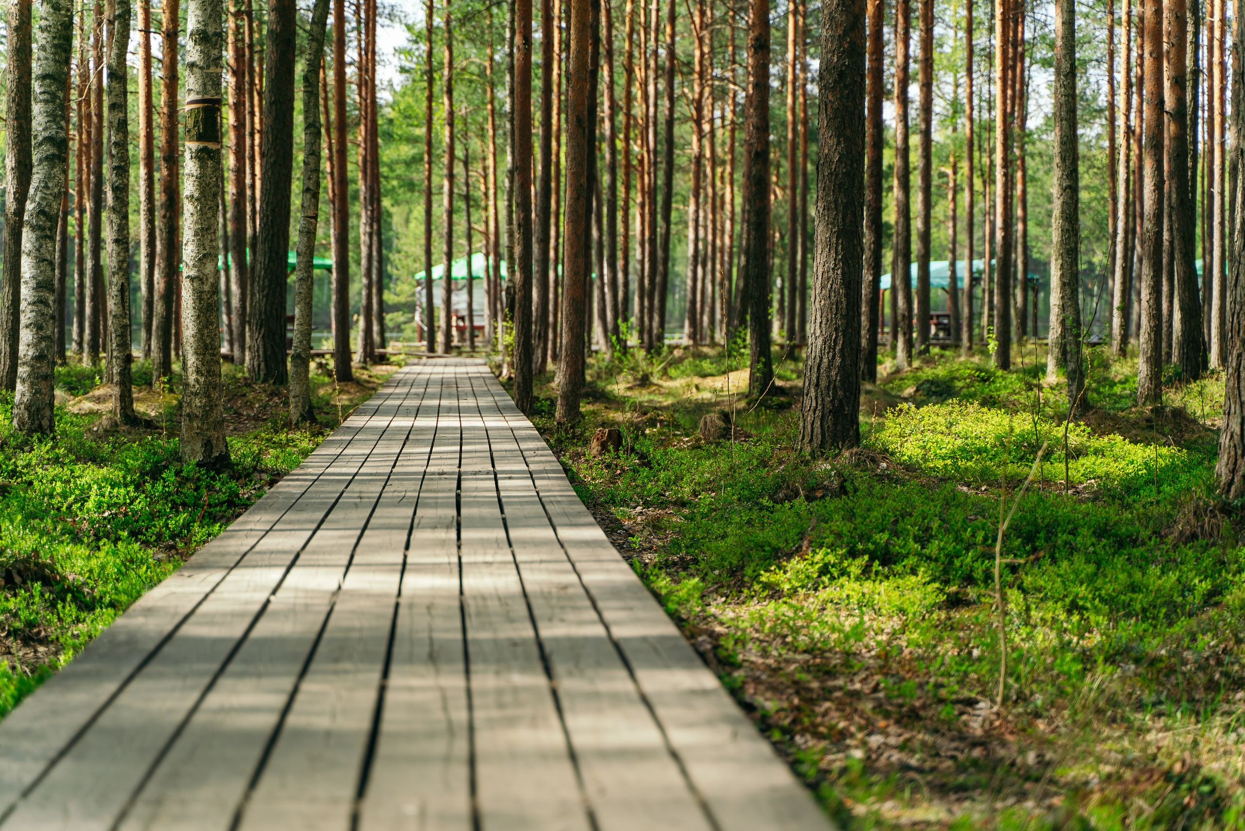 Пейзажи. Reportage and Real Estate Photographer