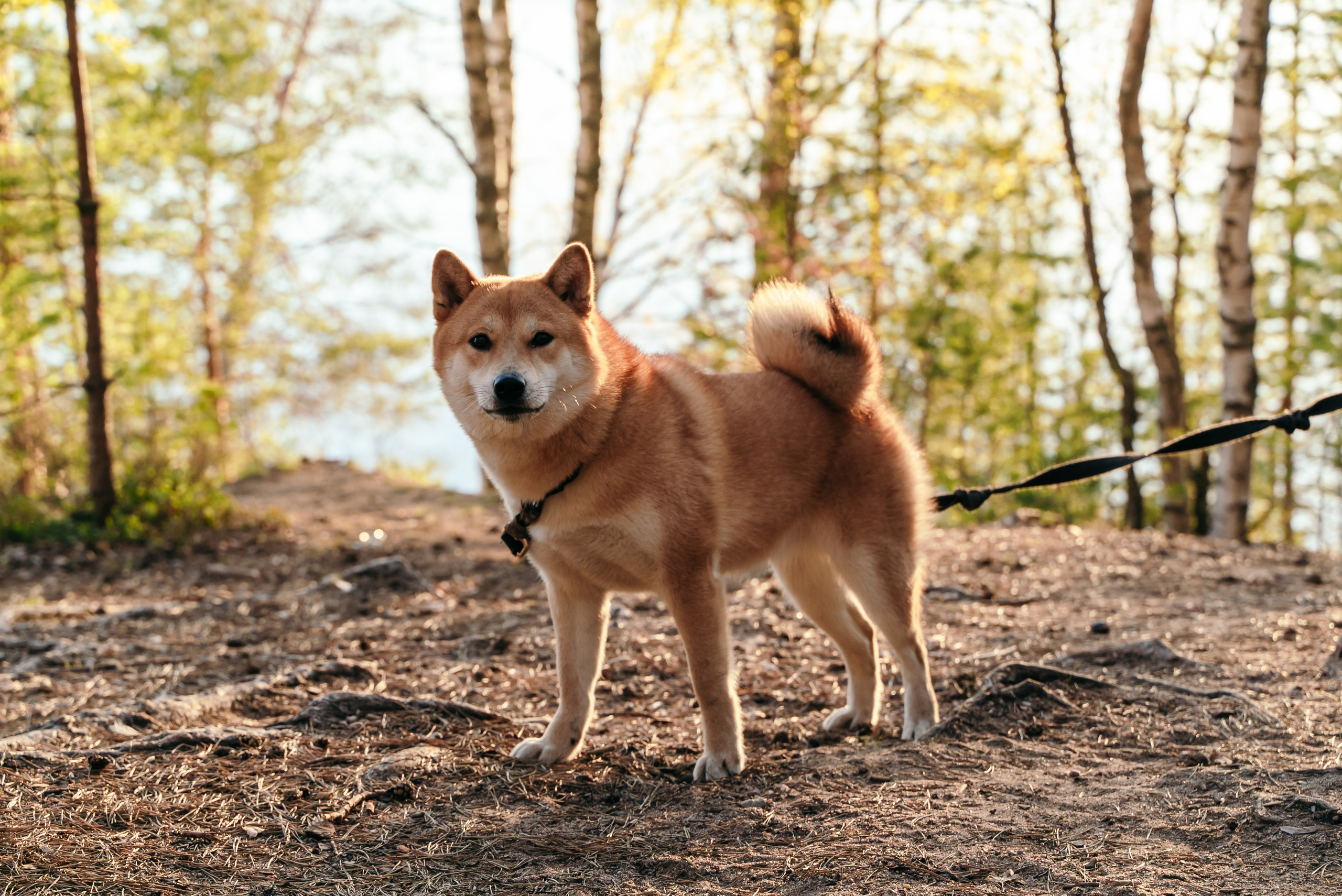 Пейзажи. Reportage and Real Estate Photographer
