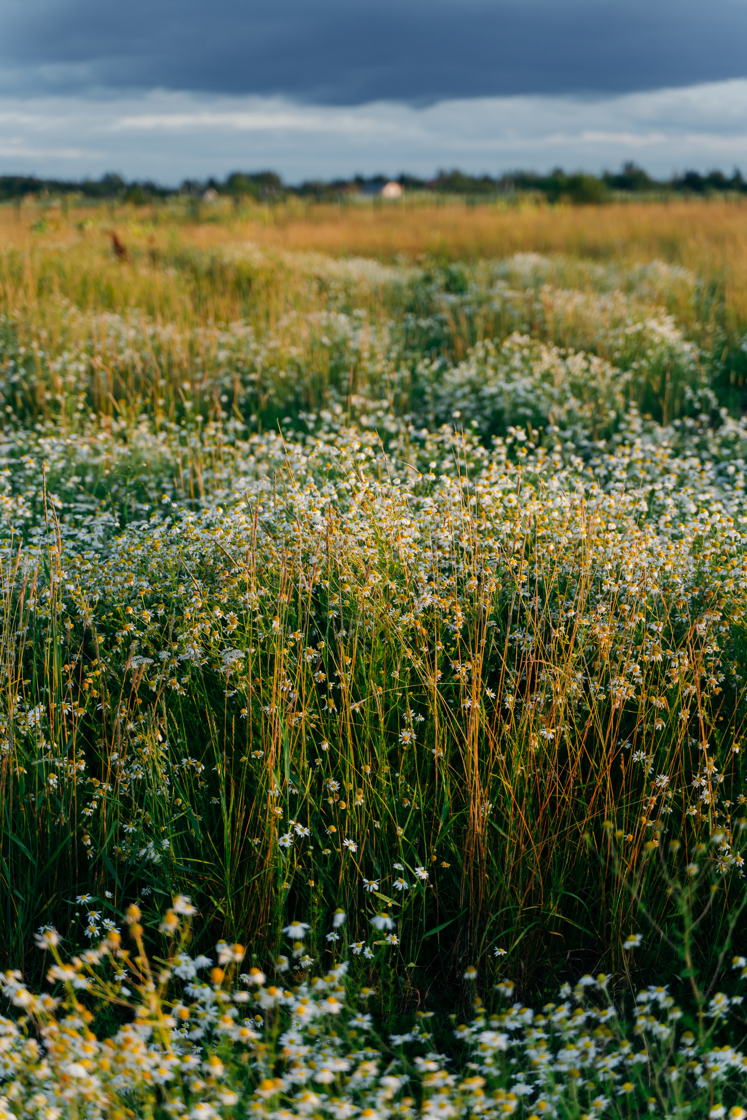 Пейзажи. Reportage and Real Estate Photographer