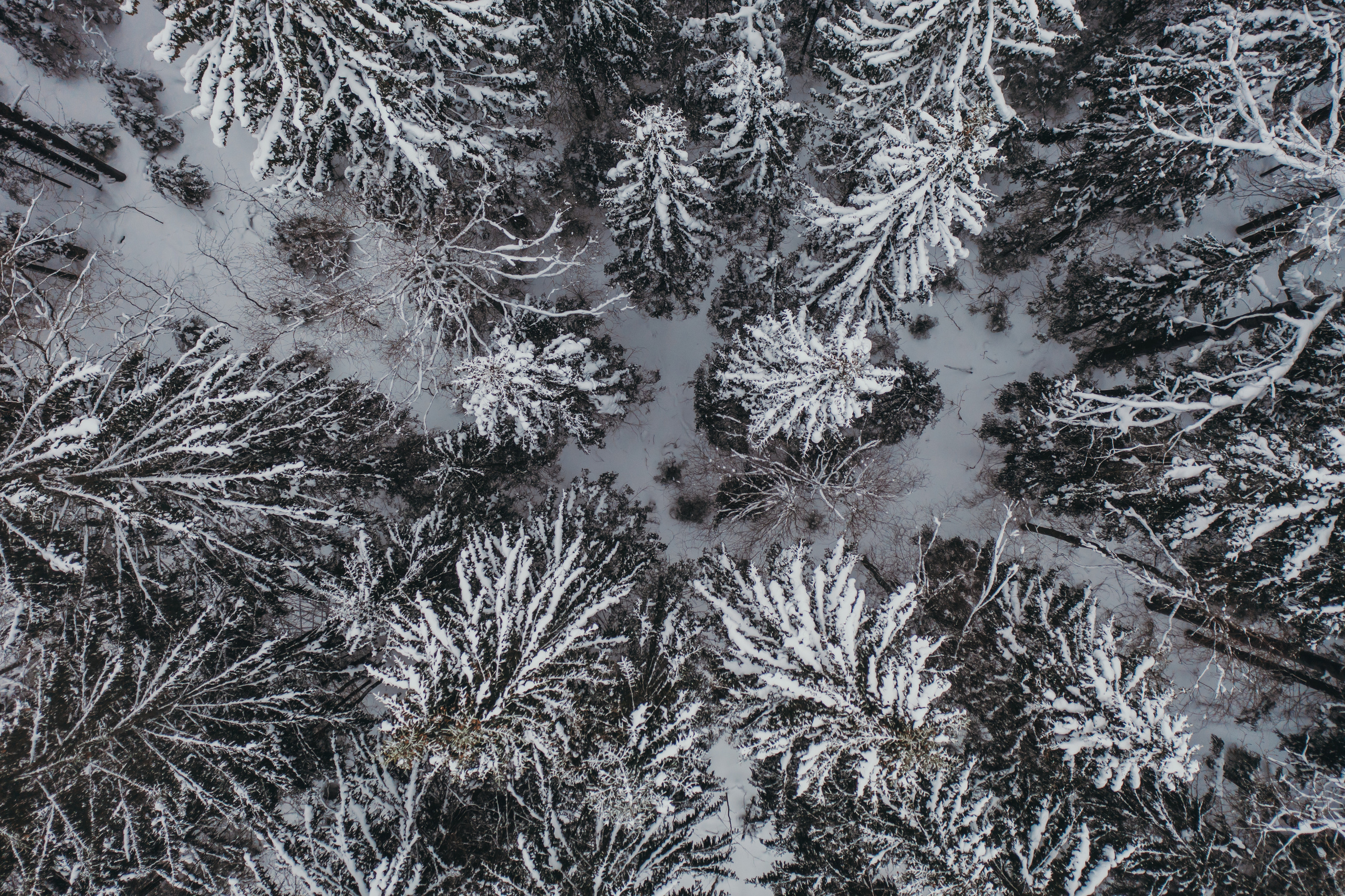 Пейзажи. Reportage and Real Estate Photographer