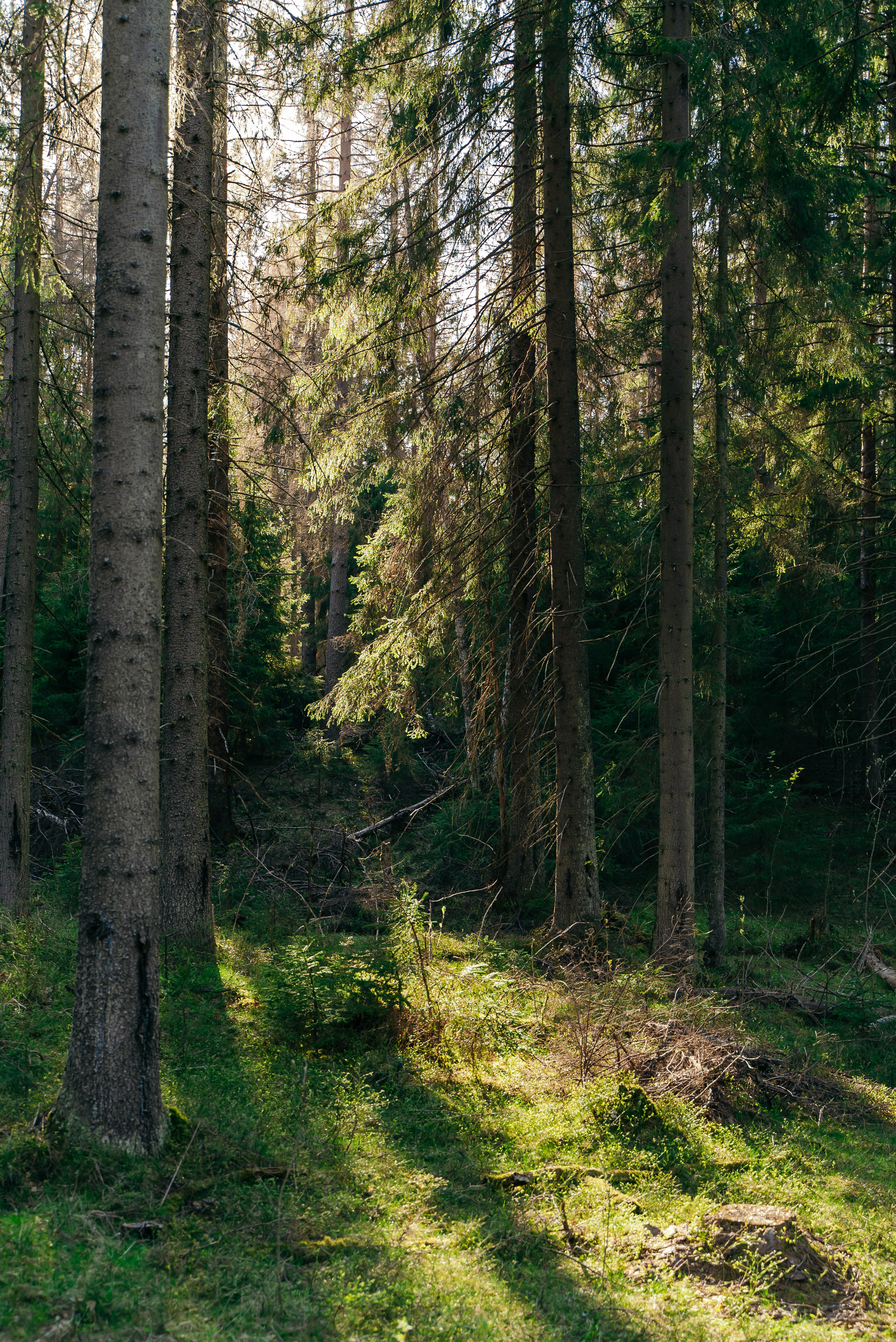 Пейзажи. Reportage and Real Estate Photographer