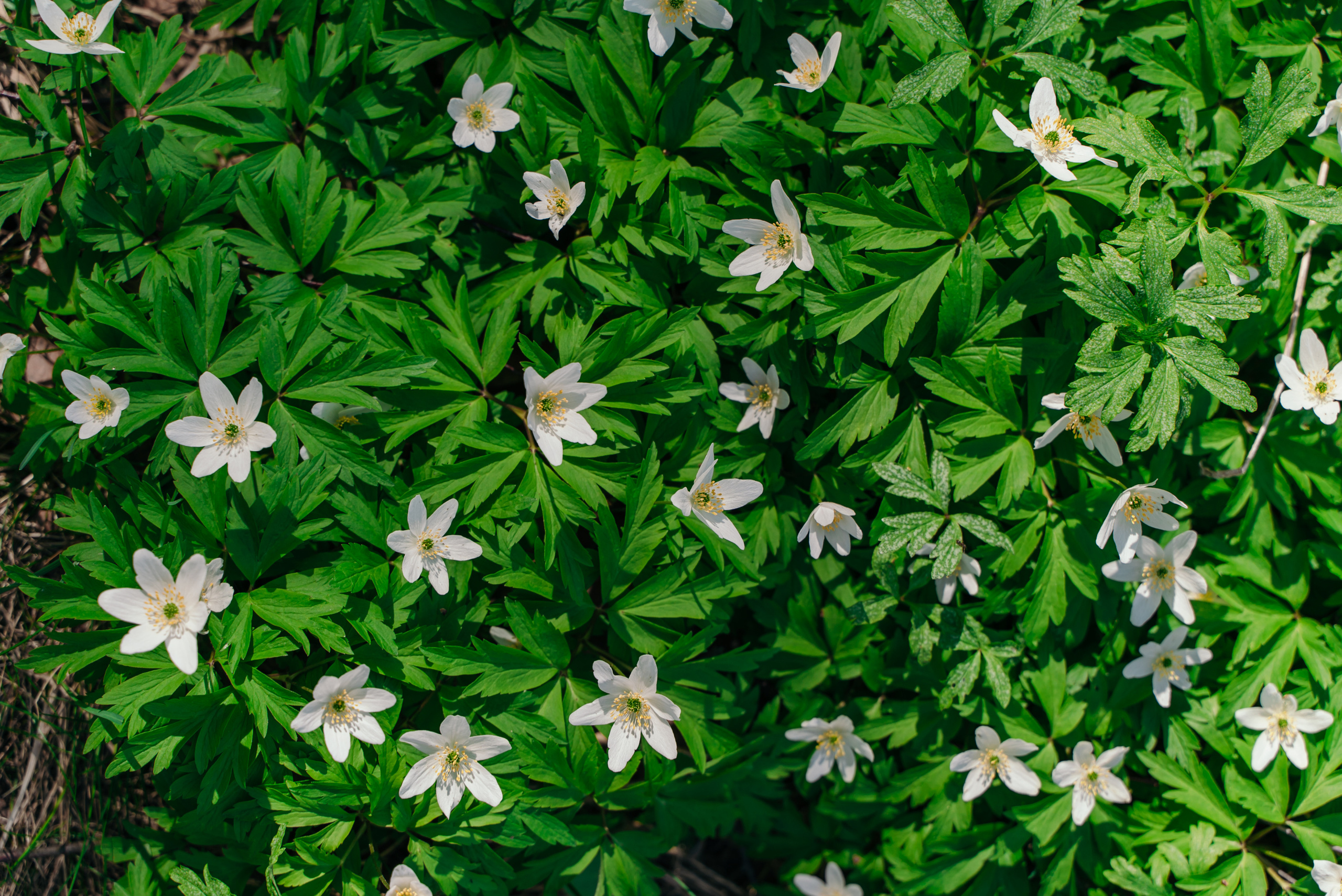 Пейзажи. Reportage and Real Estate Photographer