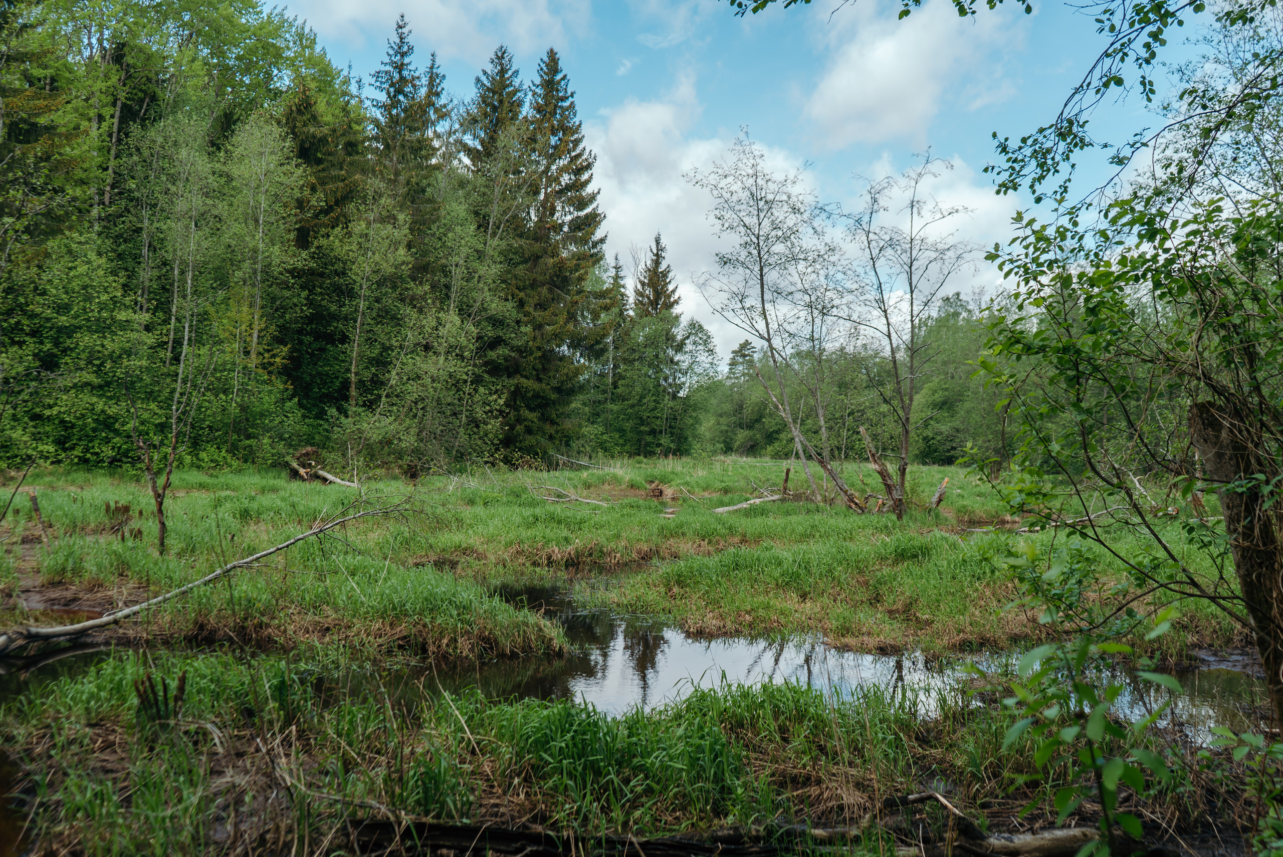 Пейзажи. Reportage and Real Estate Photographer