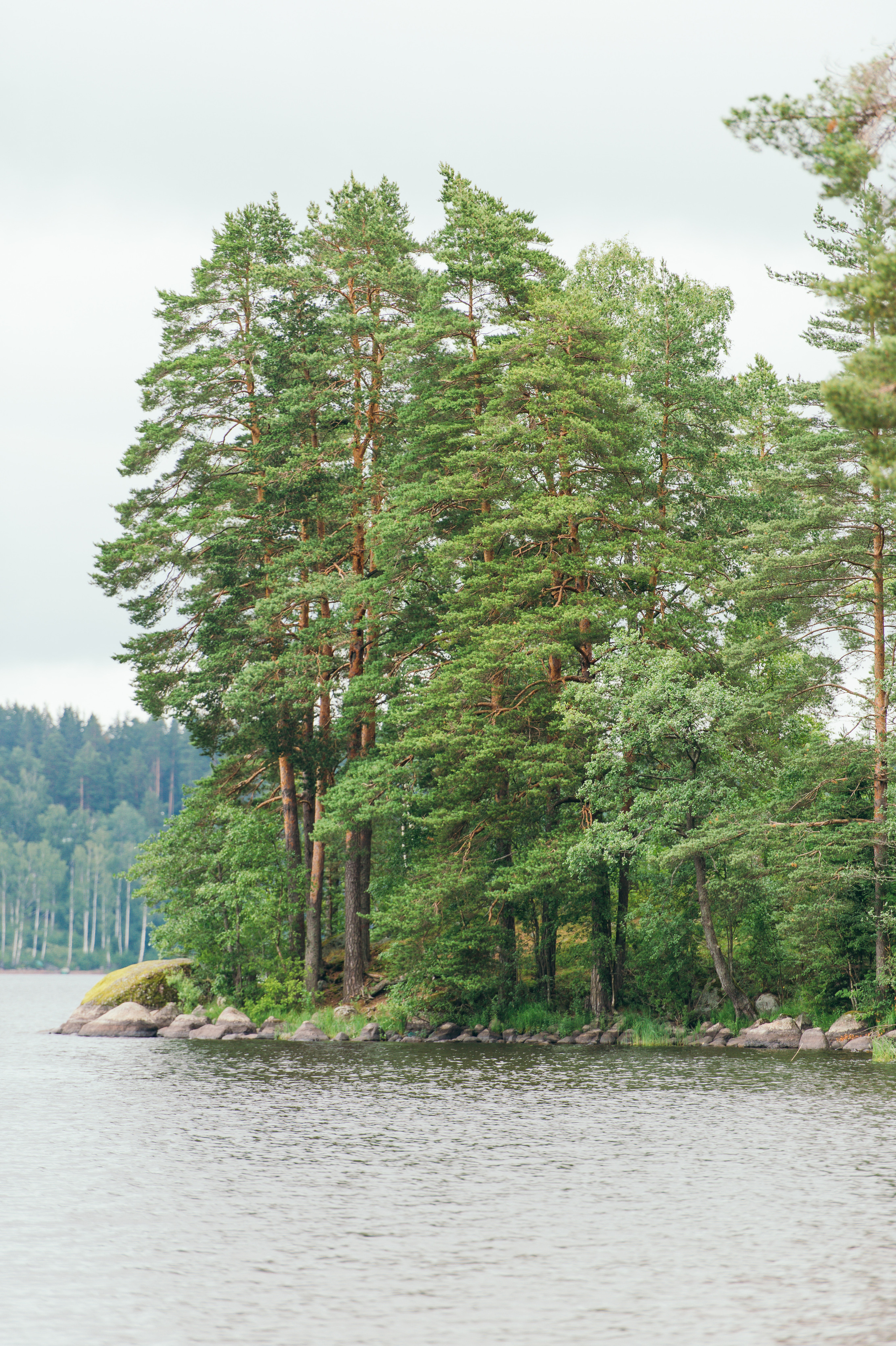 Пейзажи. Reportage and Real Estate Photographer