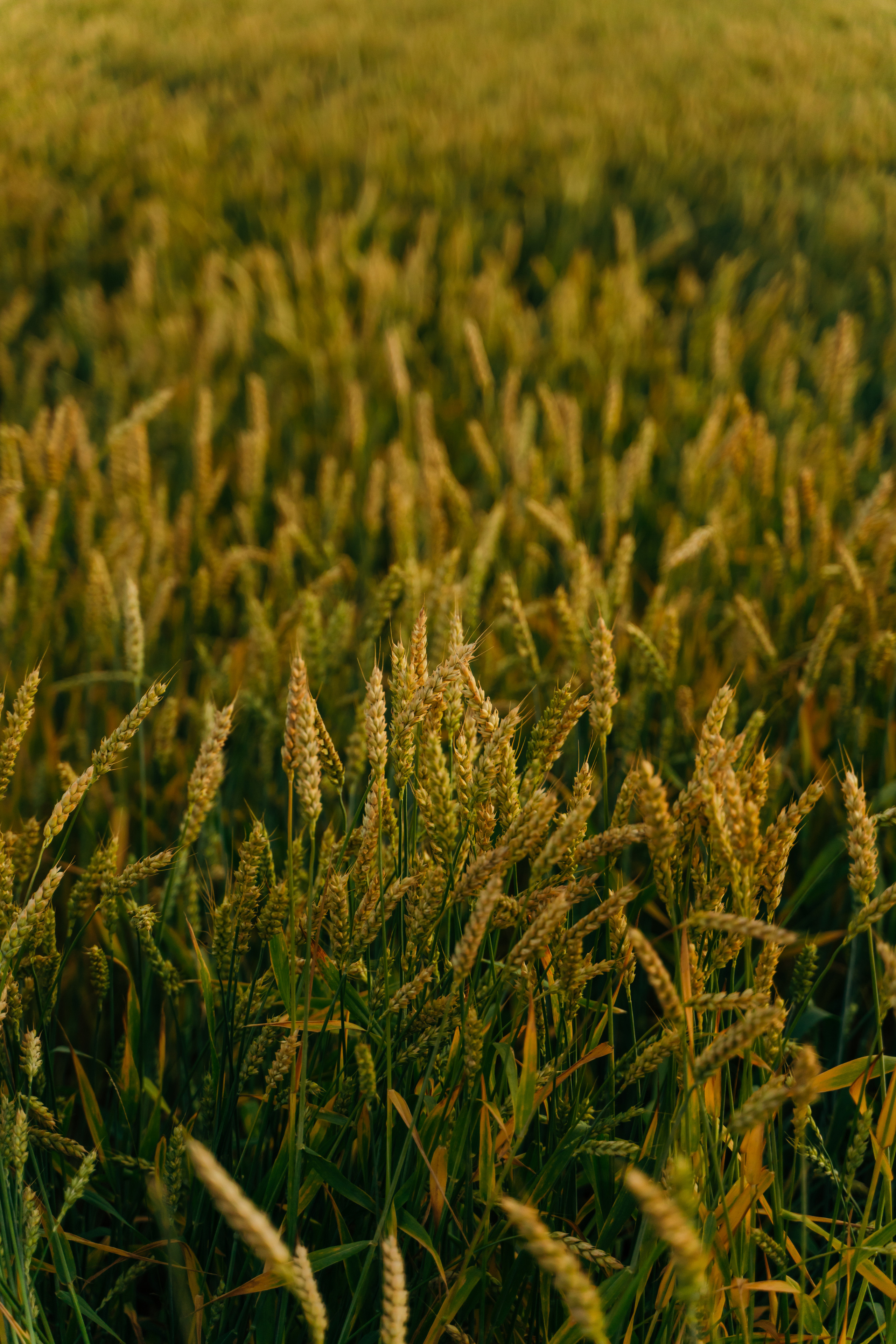 Пейзажи. Reportage and Real Estate Photographer