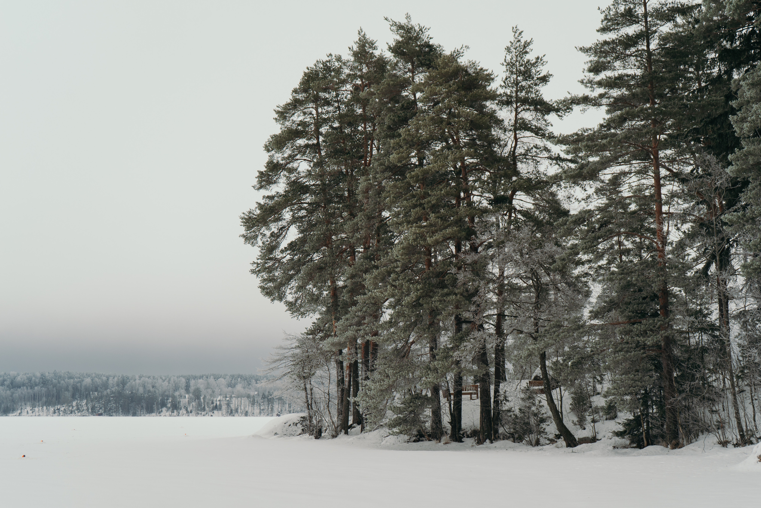 Поселки. Reportage and Real Estate Photographer