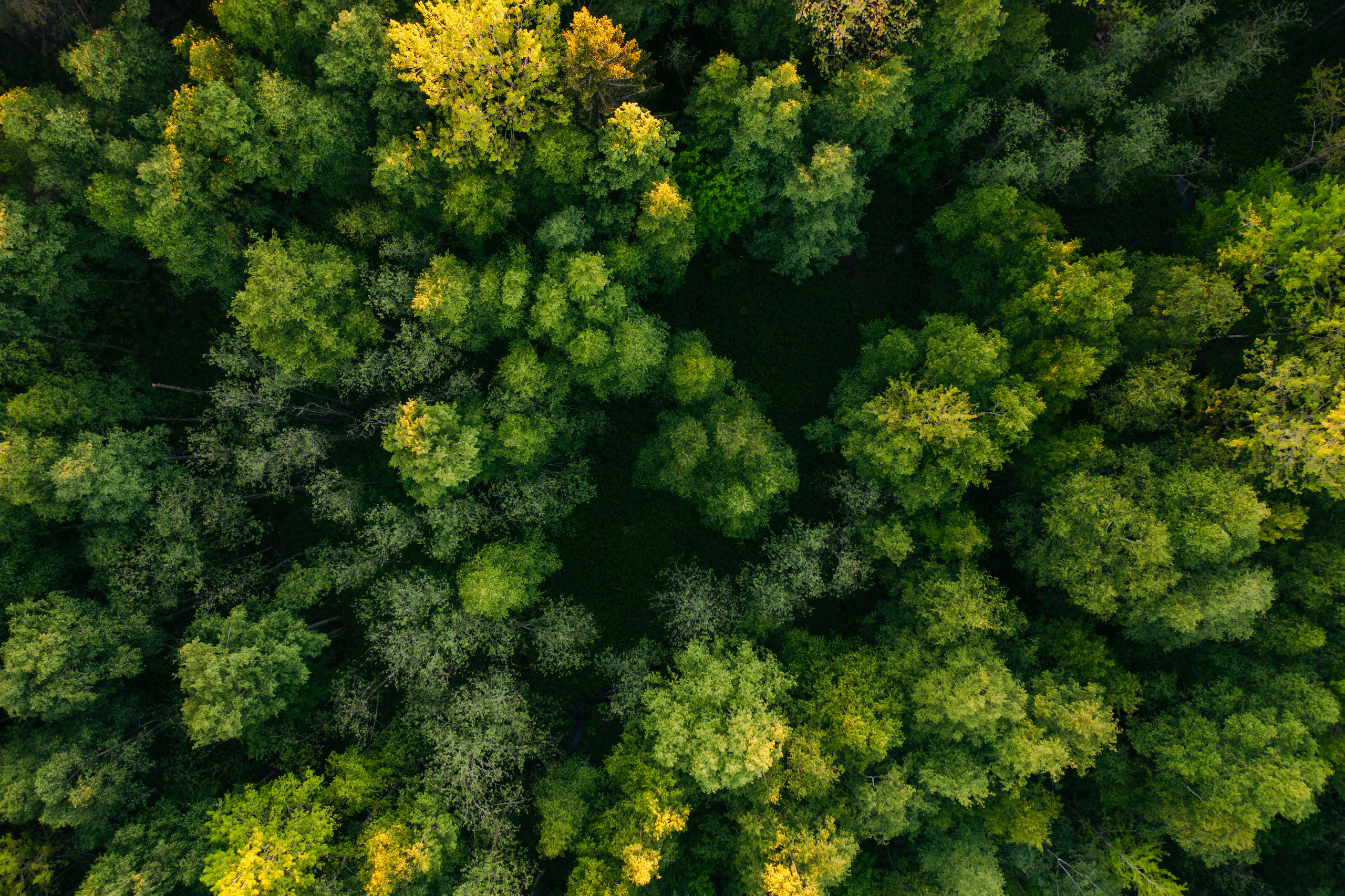 Пейзажи. Reportage and Real Estate Photographer