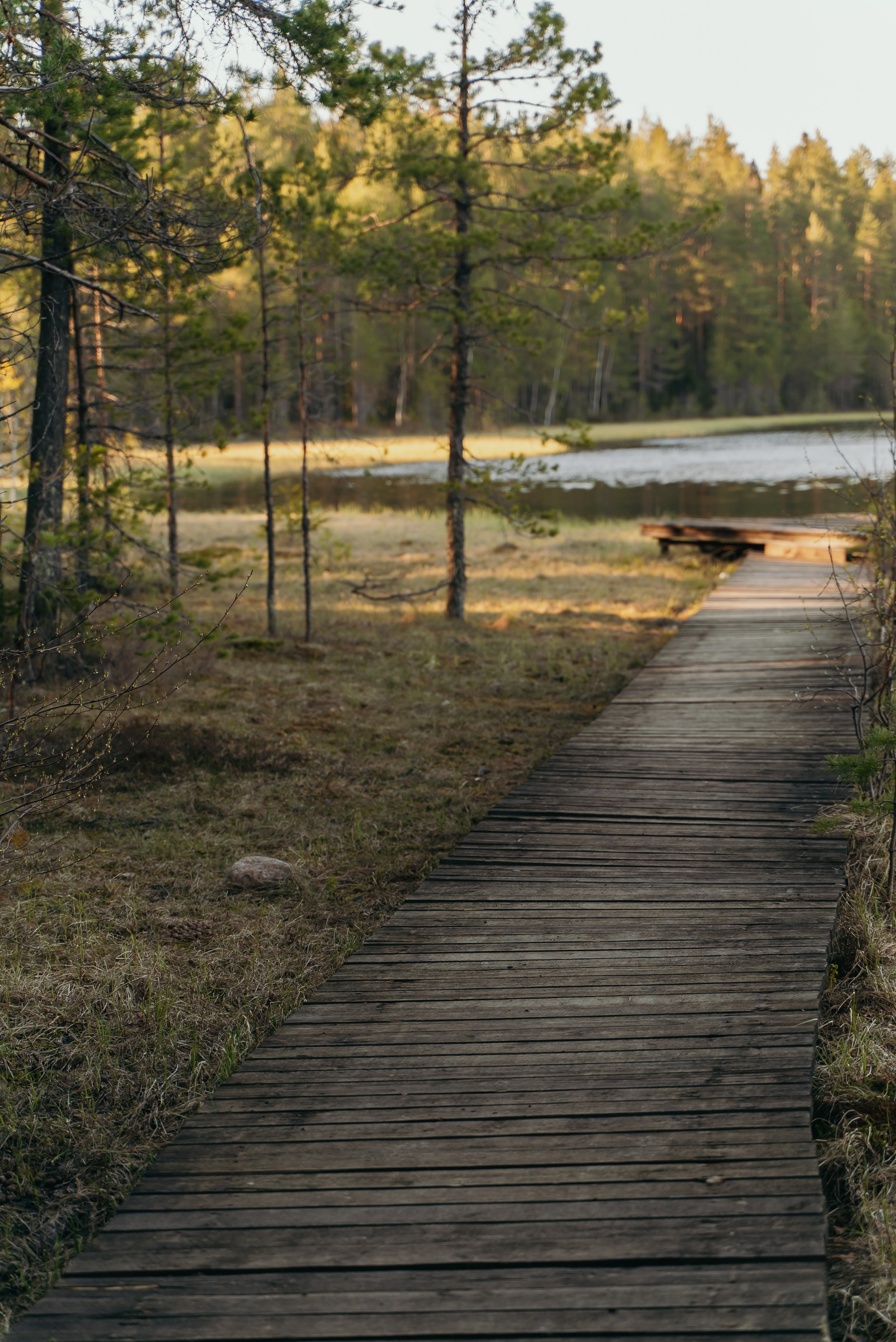 Пейзажи. Reportage and Real Estate Photographer