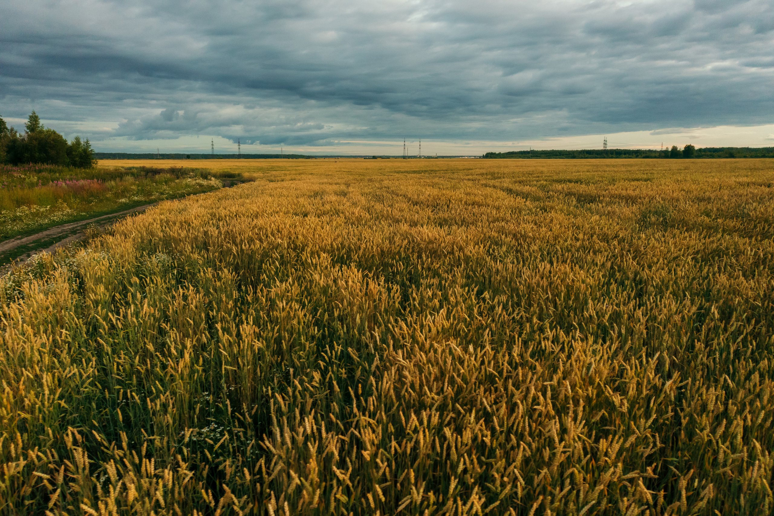 Пейзажи. Reportage and Real Estate Photographer