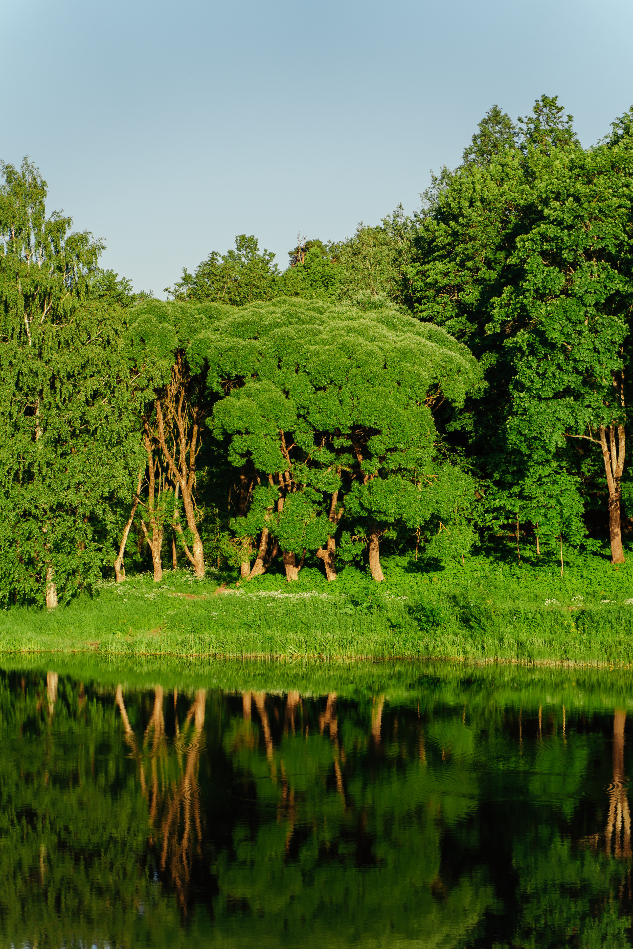 Пейзажи. Reportage and Real Estate Photographer